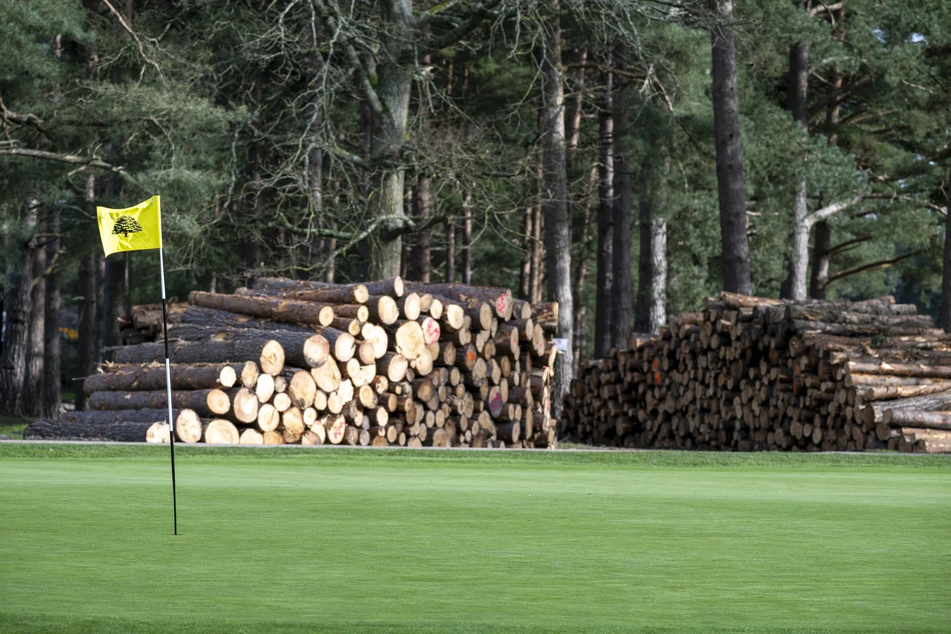 Sunningdale foursomes 2026 Tuesday-7806.jpg