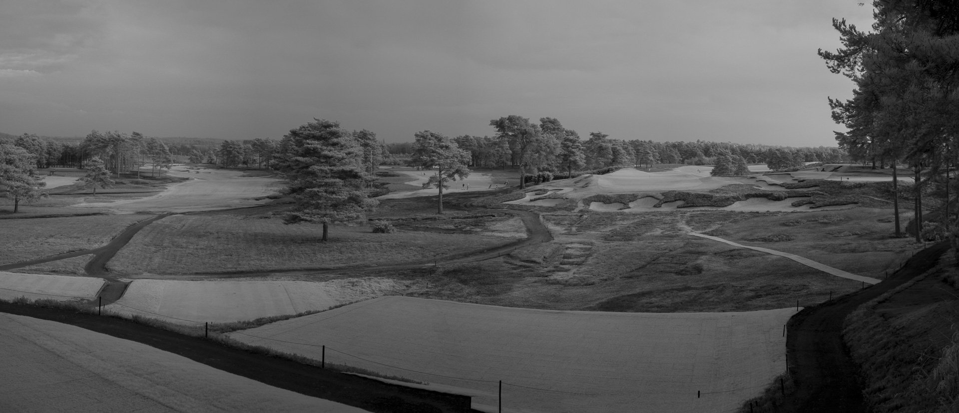 Sunningdale foursomes 2026 Tuesday--5.jpg