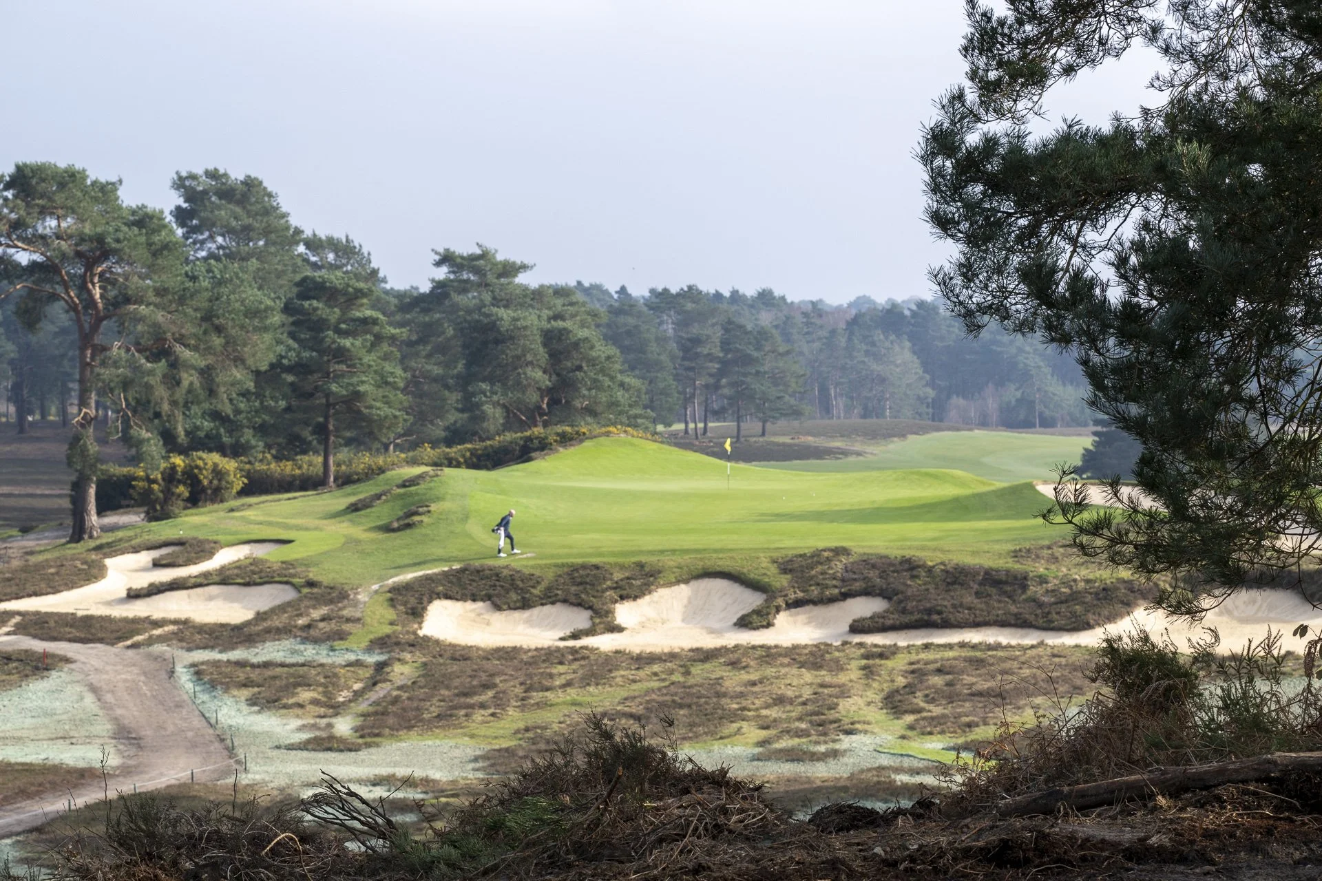 Sunningdale foursomes 2026 Tuesday-3986.jpg