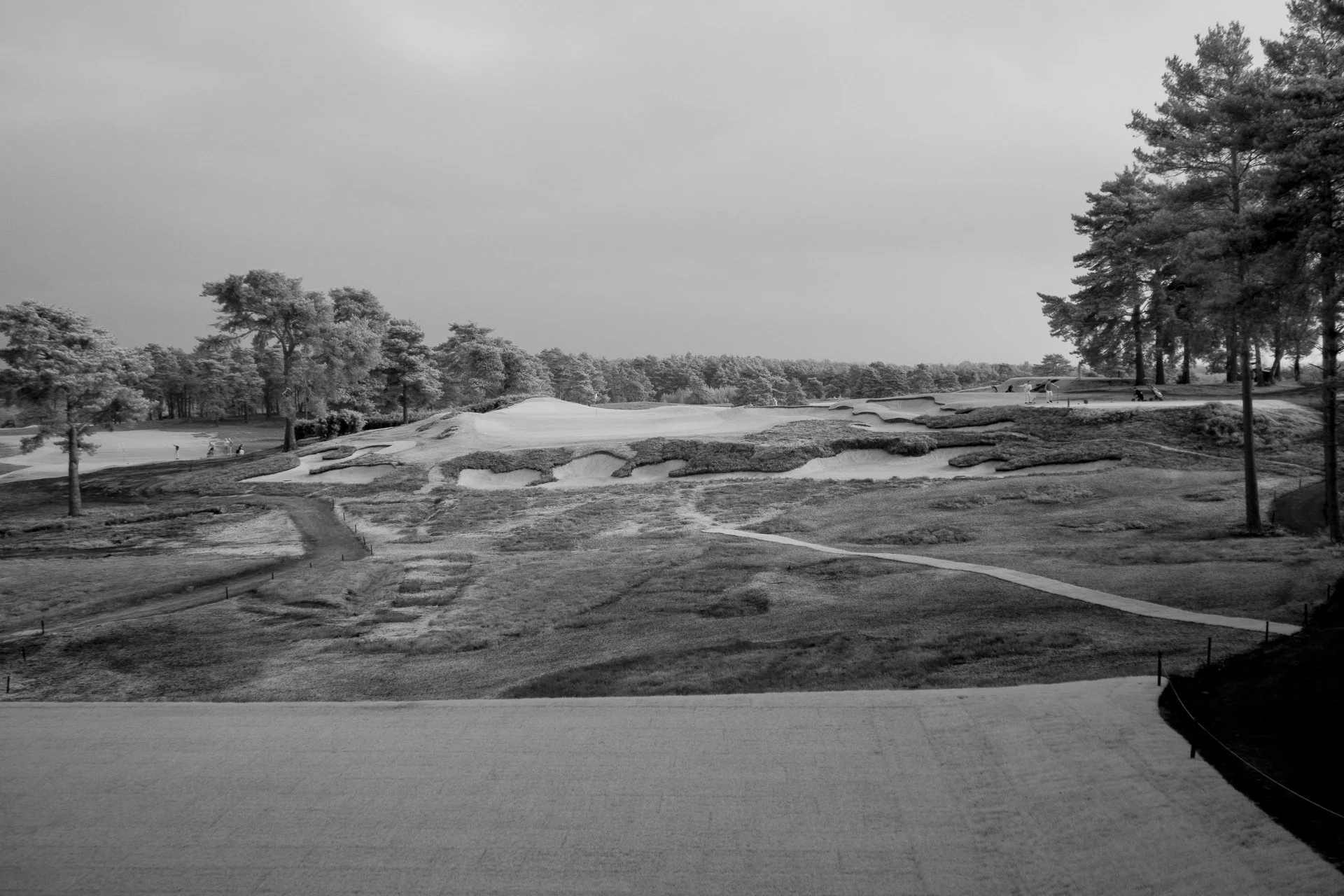 Sunningdale foursomes 2026 Tuesday-7663.jpg