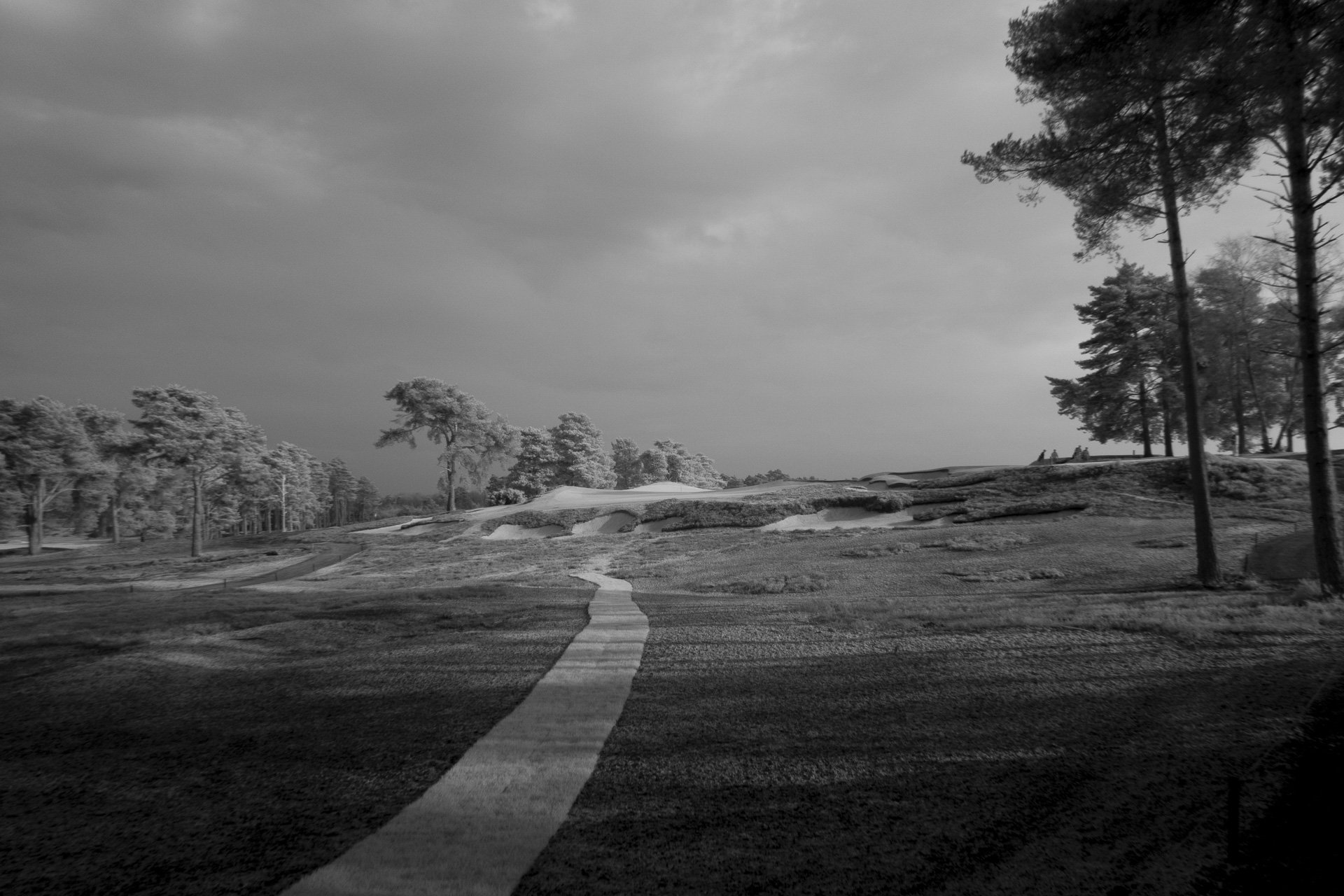 Sunningdale foursomes 2026 Tuesday-7703.jpg