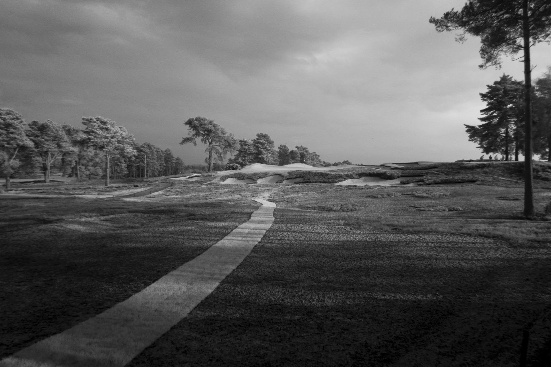 Sunningdale foursomes 2026 Tuesday-7710.jpg