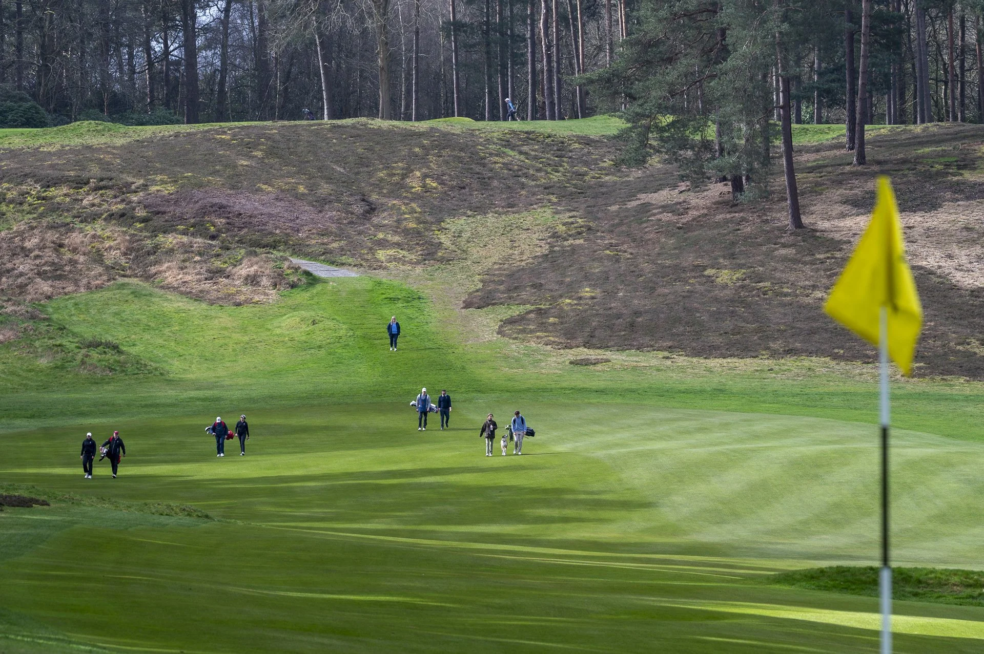 Sunningdale foursomes 2026 Tuesday-5027.jpg