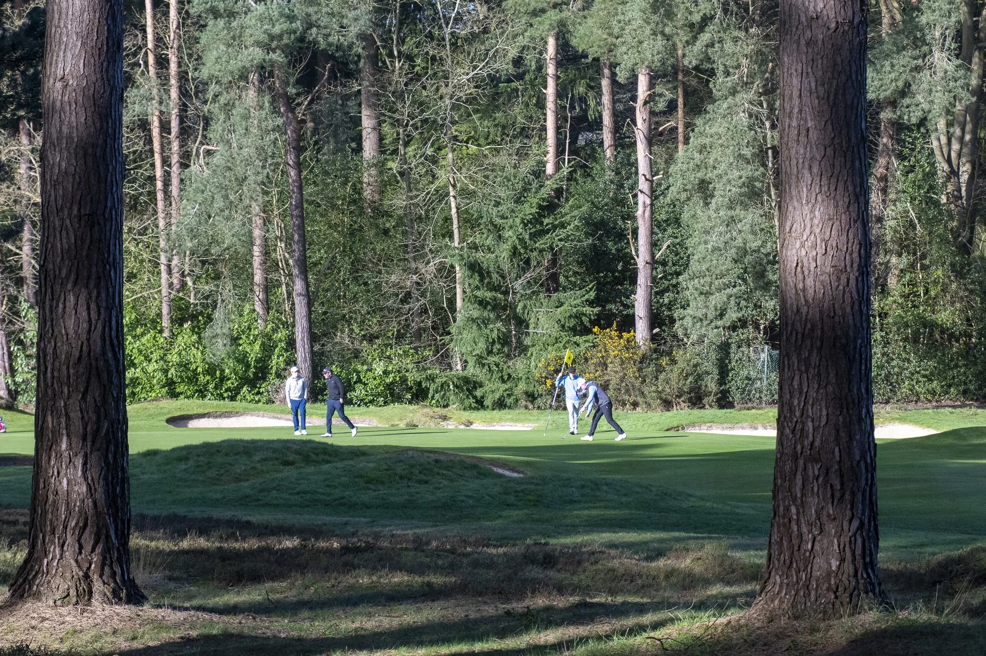 Sunningdale foursomes 2026 Tuesday-8951.jpg