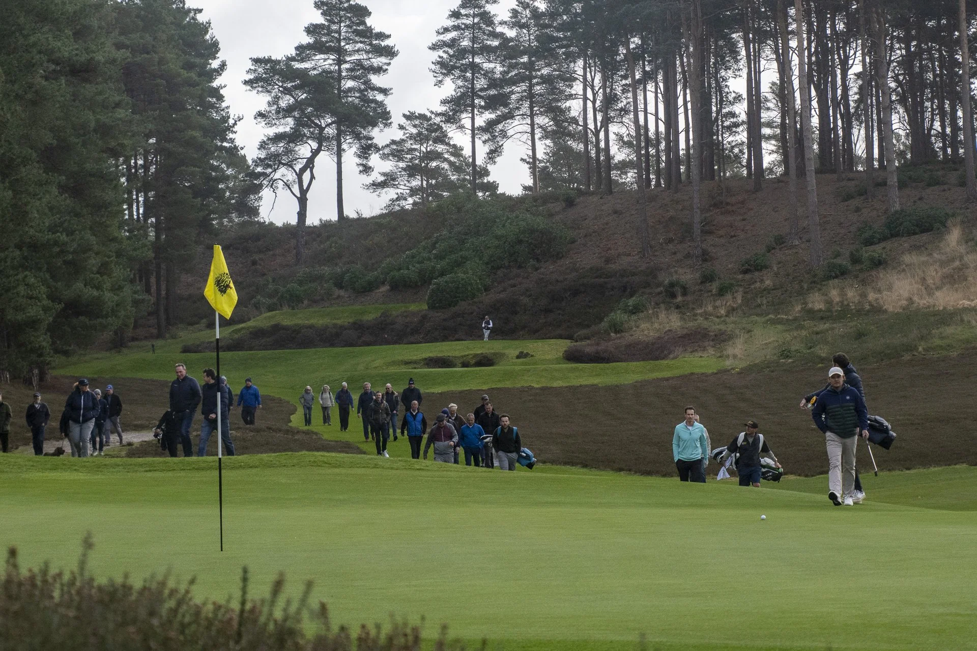 Sunningdale foursomes 2026 Tuesday-8992.jpg