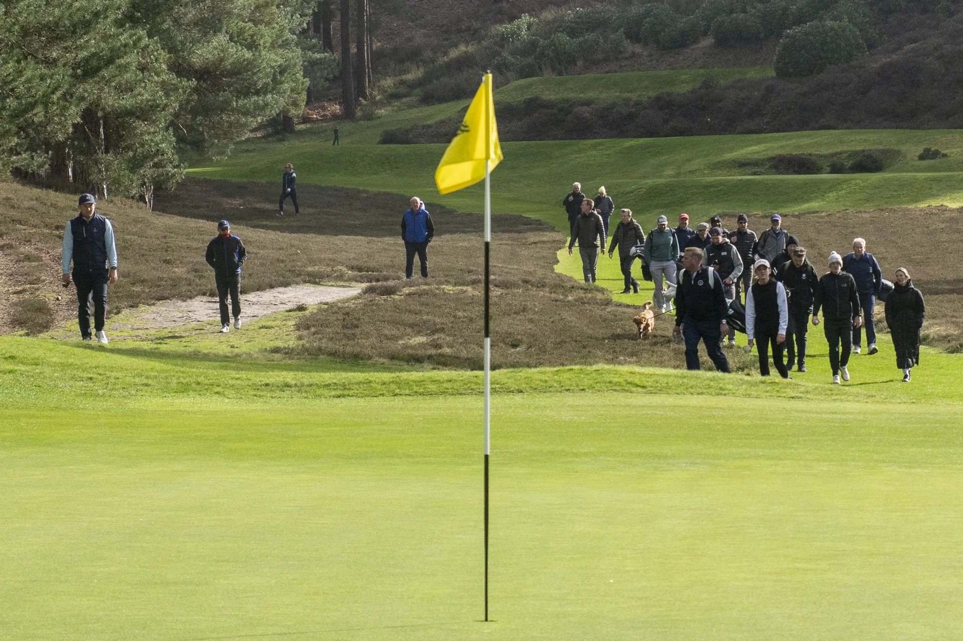 Sunningdale foursomes 2026 Tuesday-9013.jpg