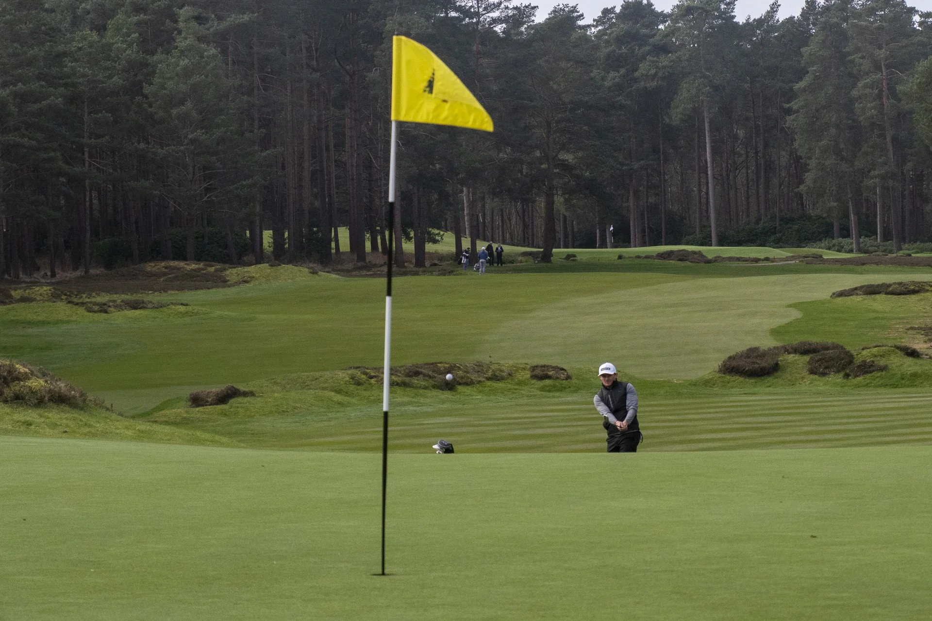 Sunningdale foursomes 2026 Tuesday-9178.jpg