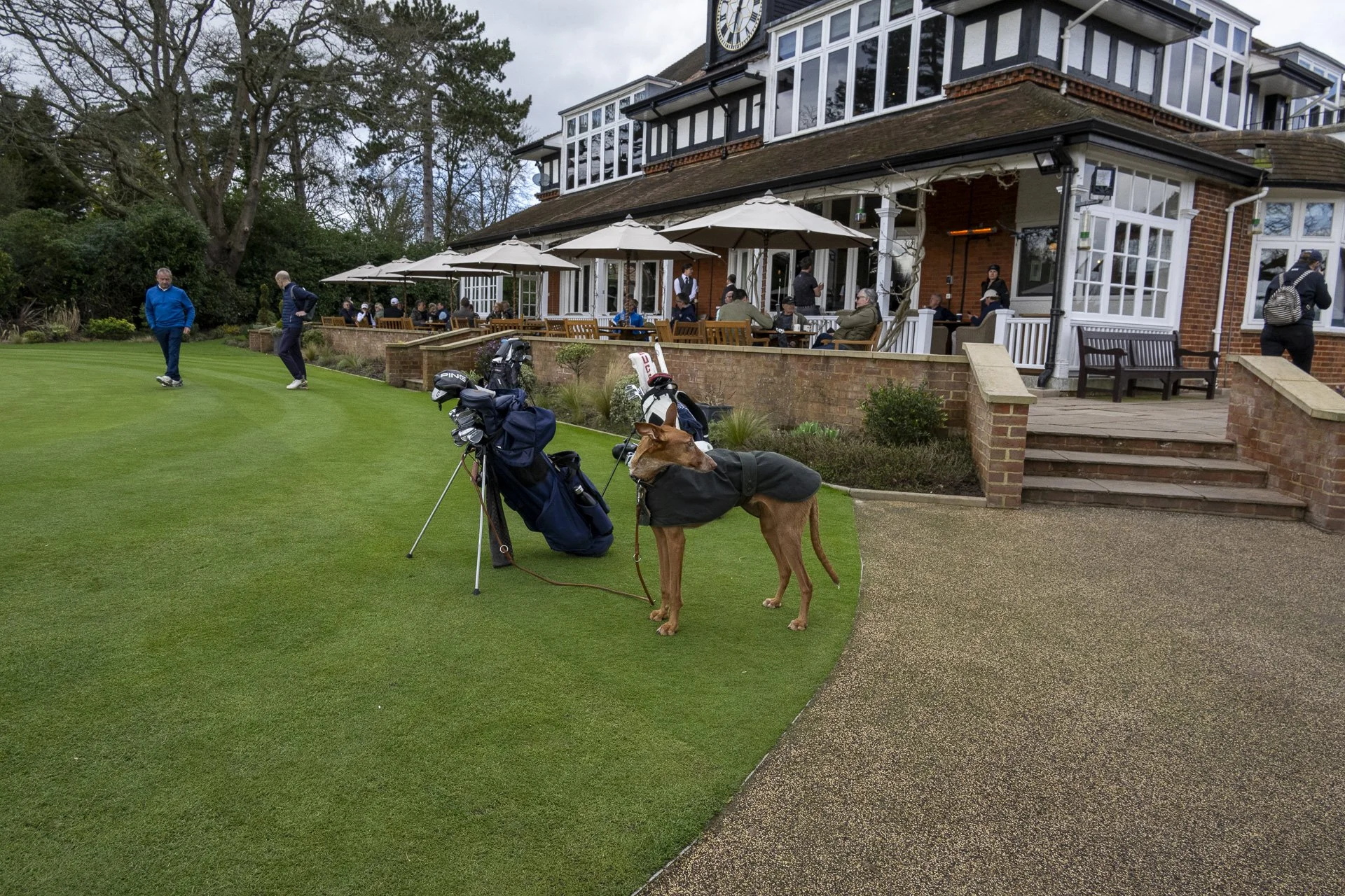 Sunningdale foursomes 2026 Wednesday-7836.jpg