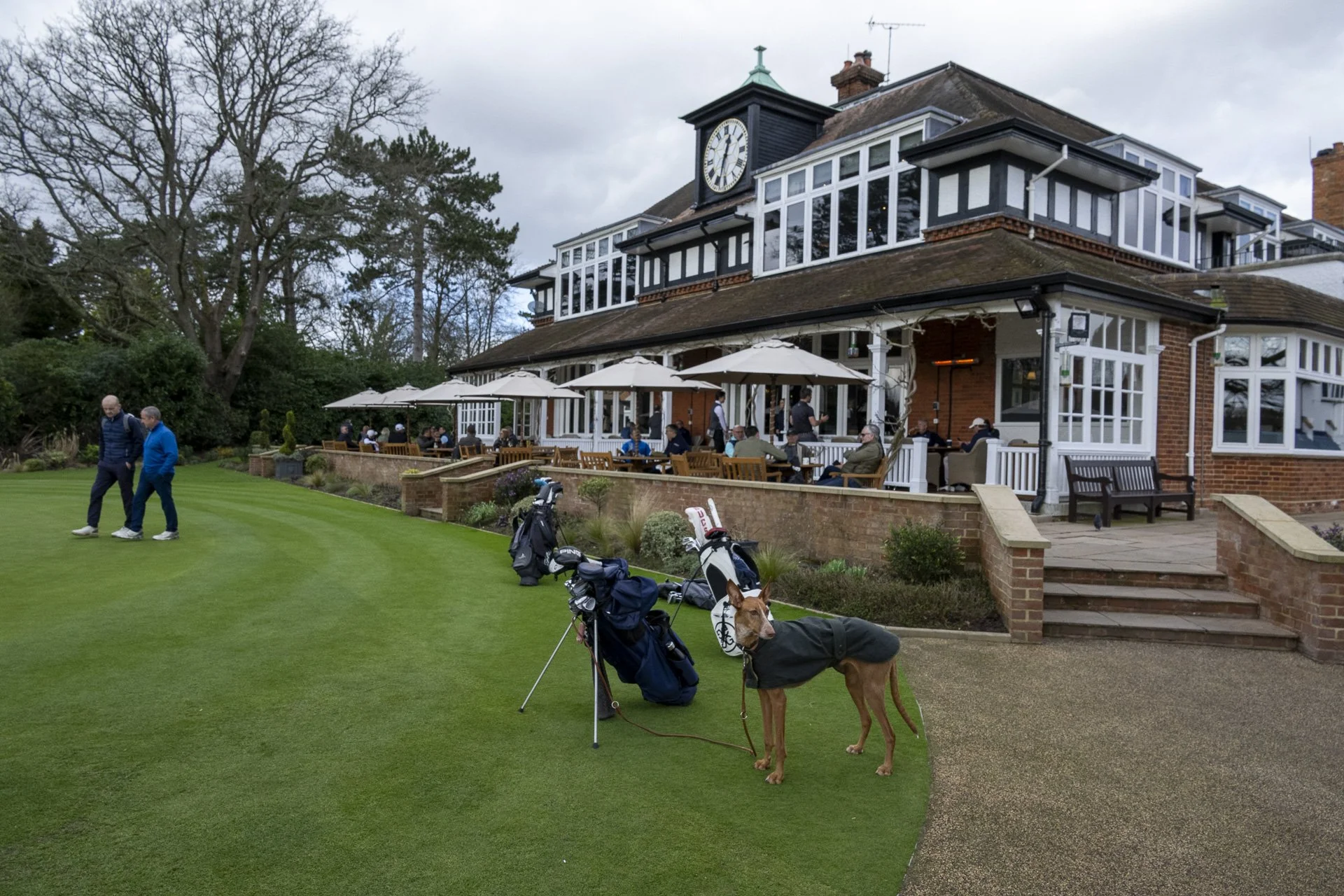 Sunningdale foursomes 2026 Wednesday-7847.jpg