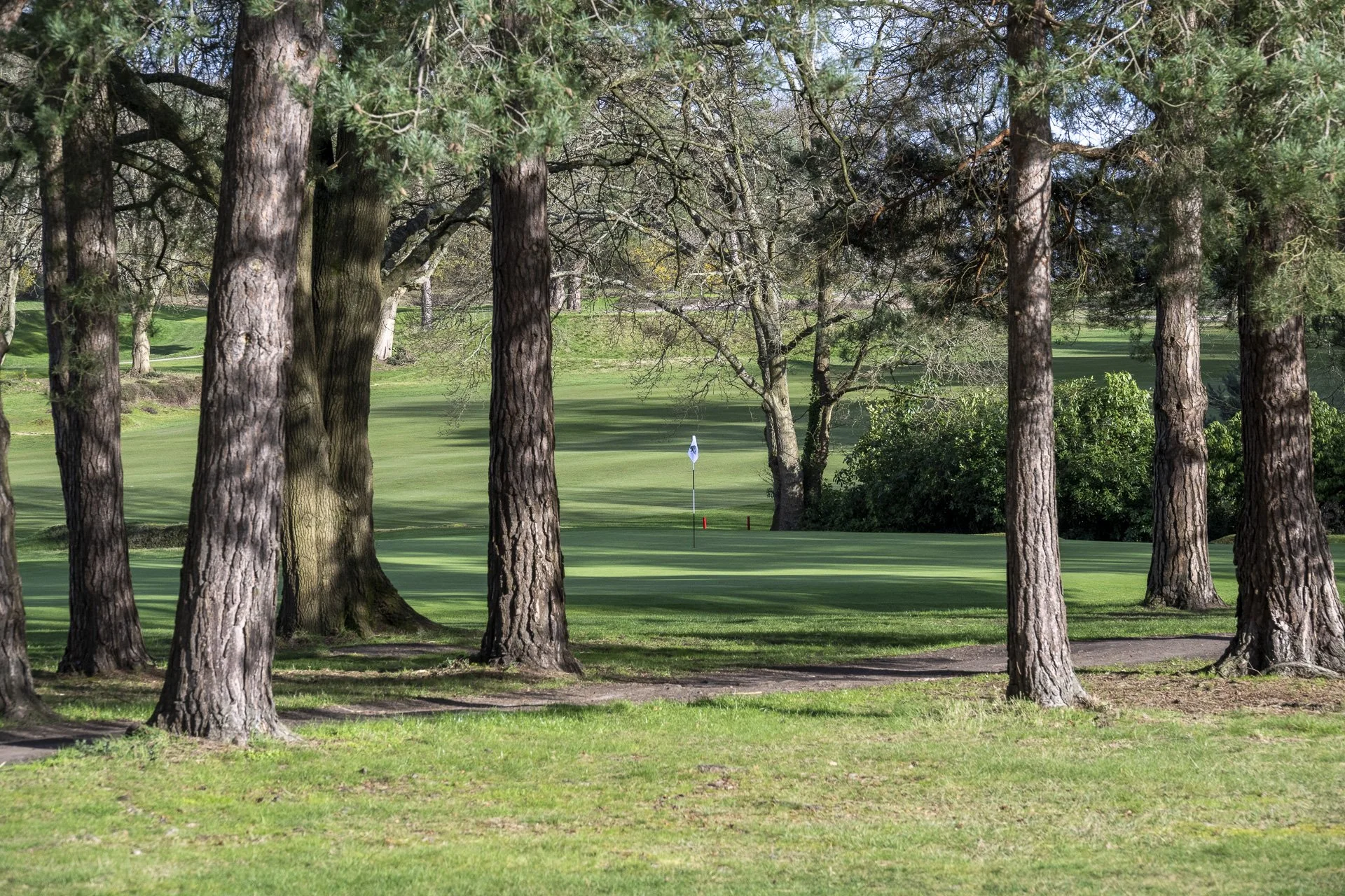 Sunningdale foursomes 2026 Wednesday-8205.jpg