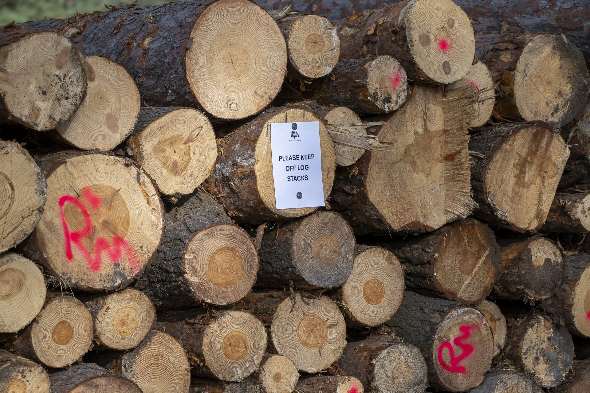 Sunningdale foursomes 2026 Wednesday-1570.jpg