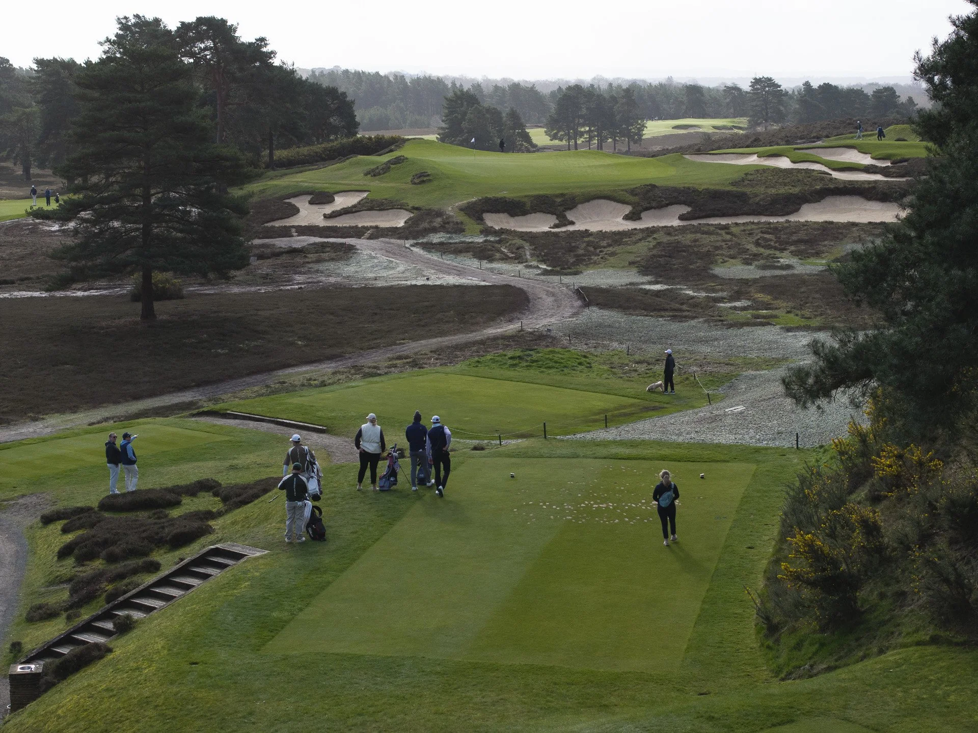 Sunningdale foursomes 2026 Wednesday--19.jpg