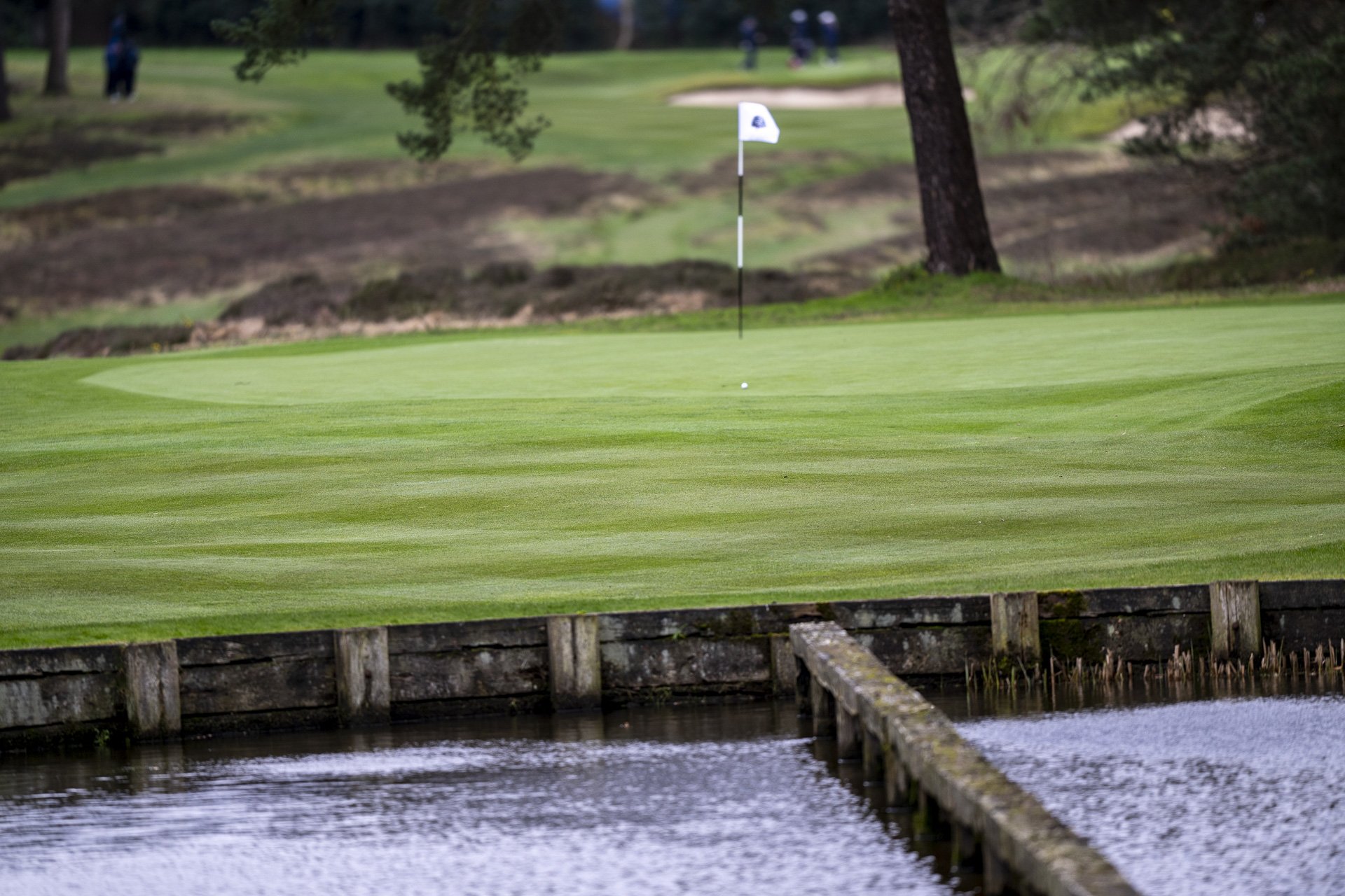 Sunningdale foursomes 2026 Thursday-4820.jpg