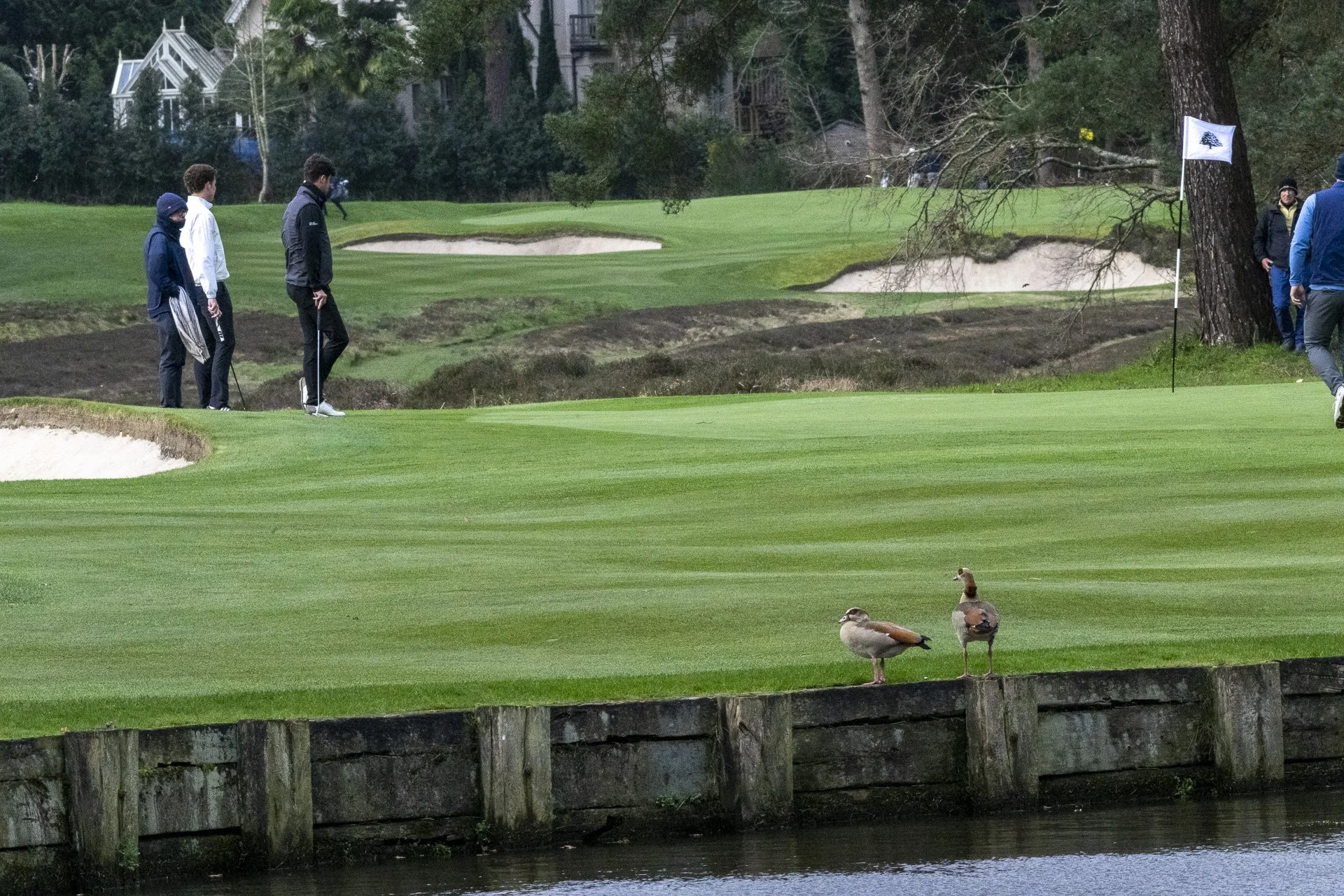 Sunningdale foursomes 2026 Thursday-4868.jpg