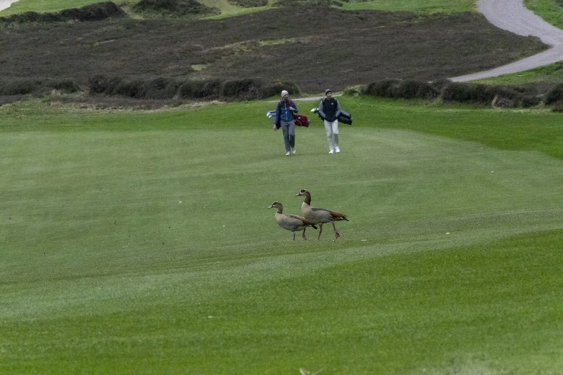 Sunningdale foursomes 2026 Thursday-5078.jpg