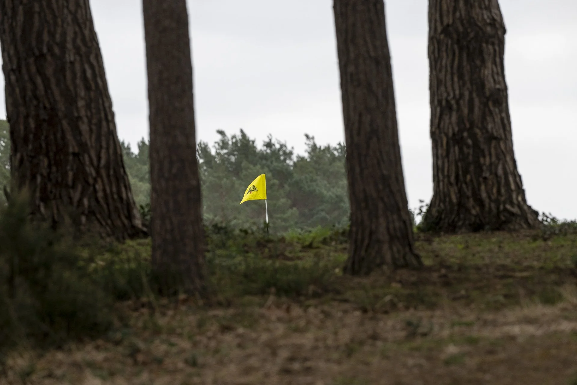 Sunningdale foursomes 2026 Thursday-8771.jpg