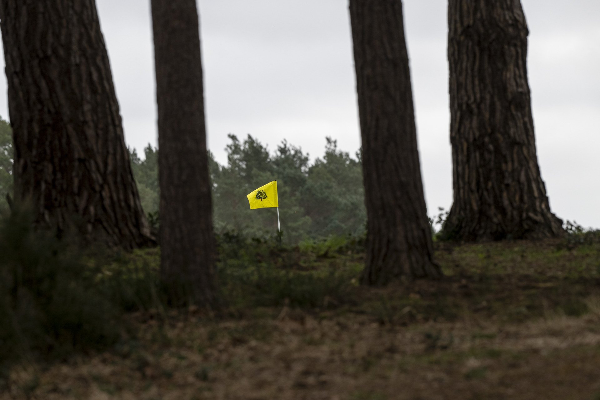 Sunningdale foursomes 2026 Thursday-8777.jpg