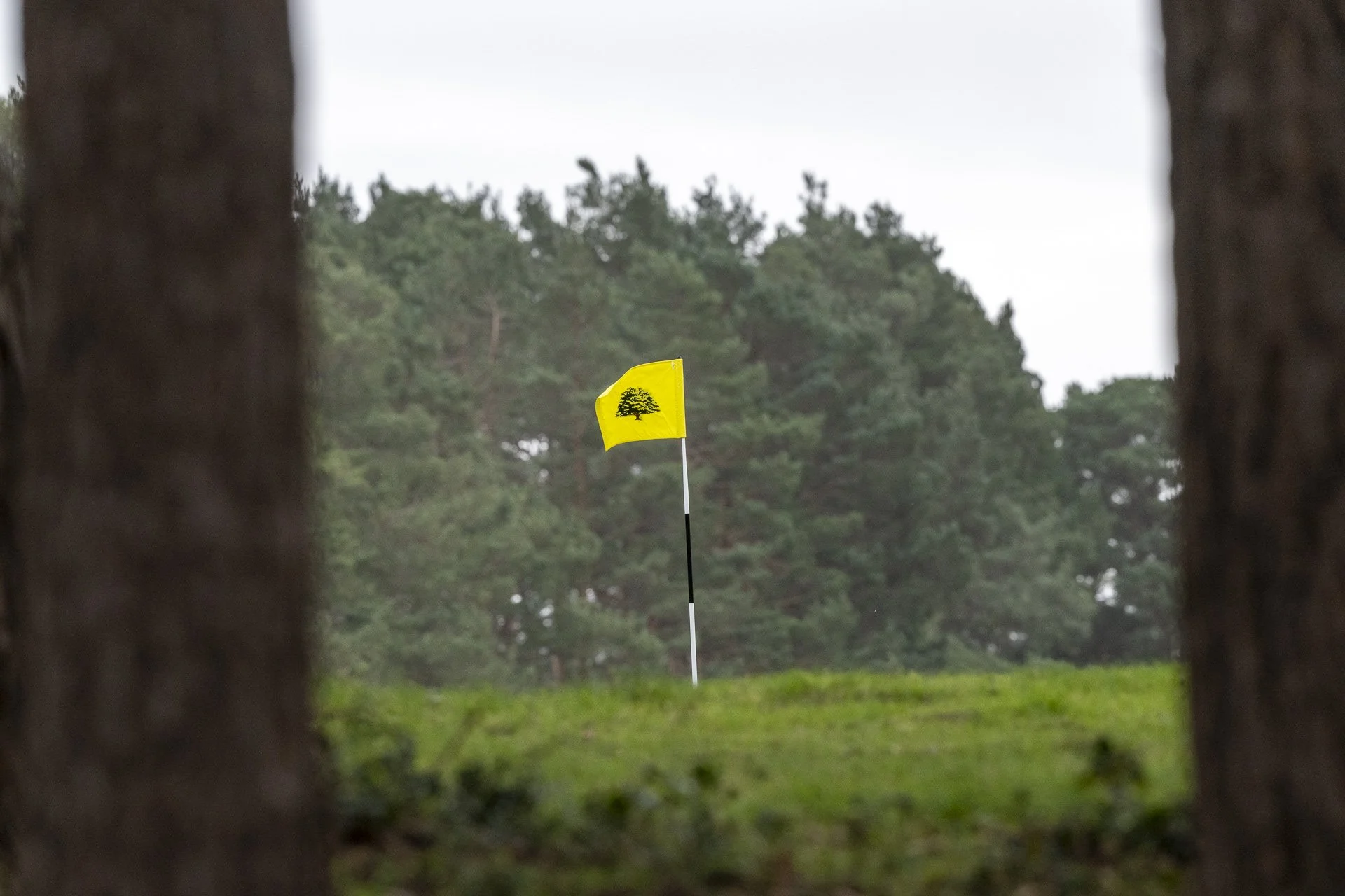 Sunningdale foursomes 2026 Thursday-8822.jpg