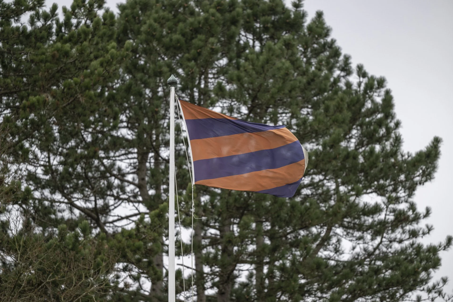 Sunningdale foursomes 2026 Thursday-9179.jpg