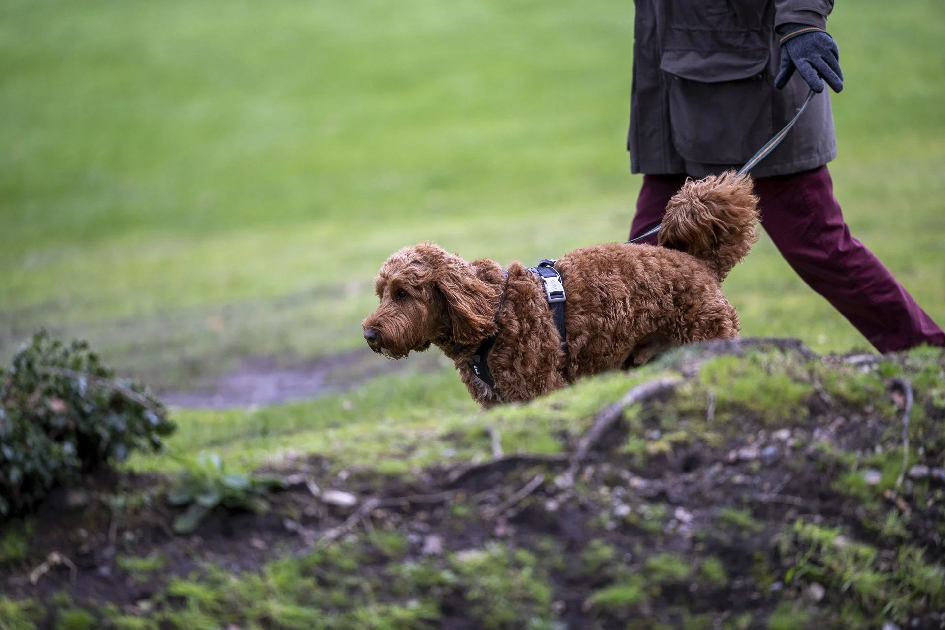 Sunningdale foursomes 2026 Final-1608.jpg