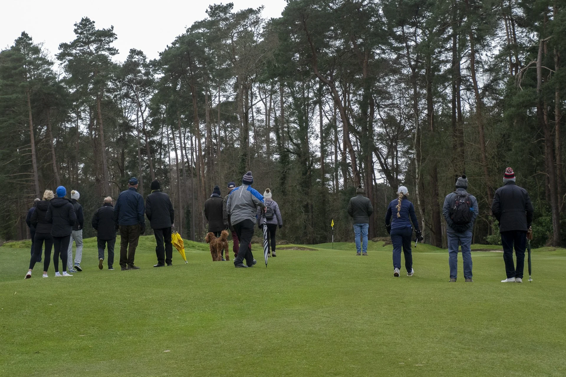 Sunningdale foursomes 2026 Final-1629.jpg