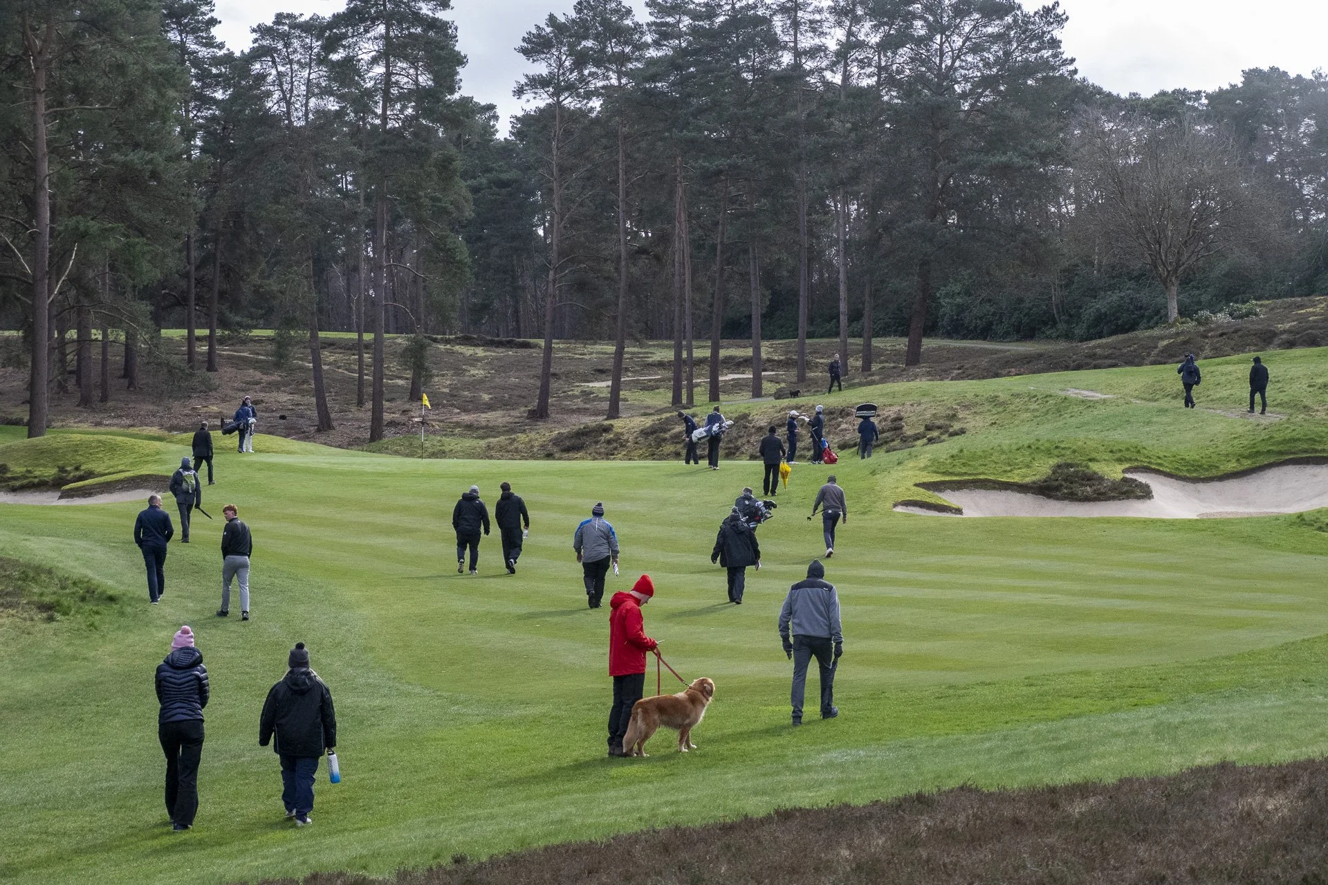 Sunningdale foursomes 2026 Final-1889.jpg
