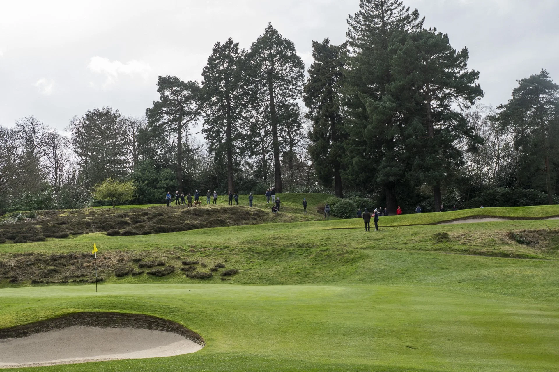 Sunningdale foursomes 2026 Final-1963.jpg