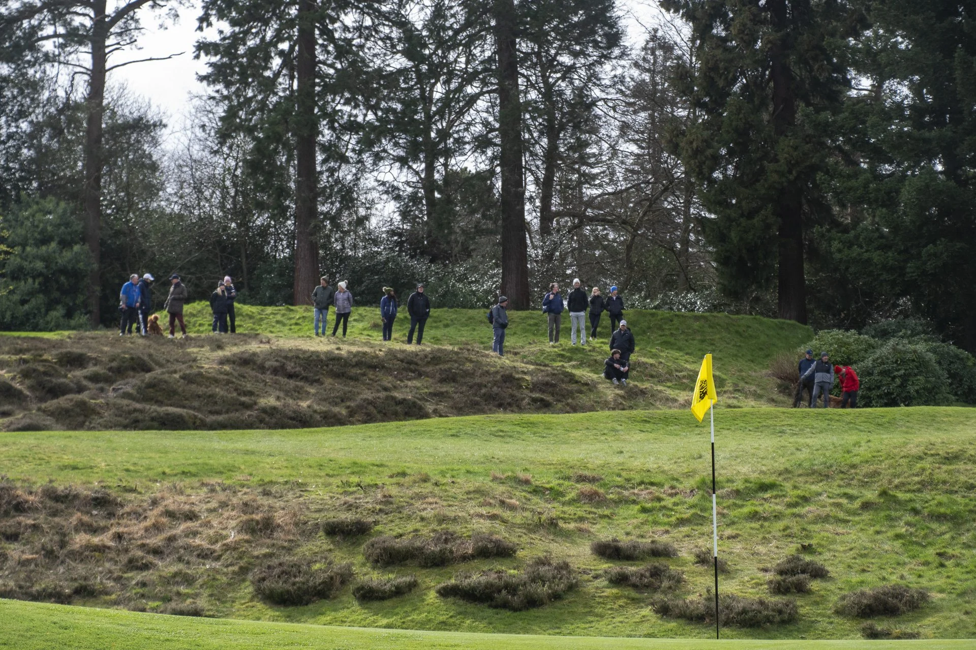 Sunningdale foursomes 2026 Final-1968.jpg