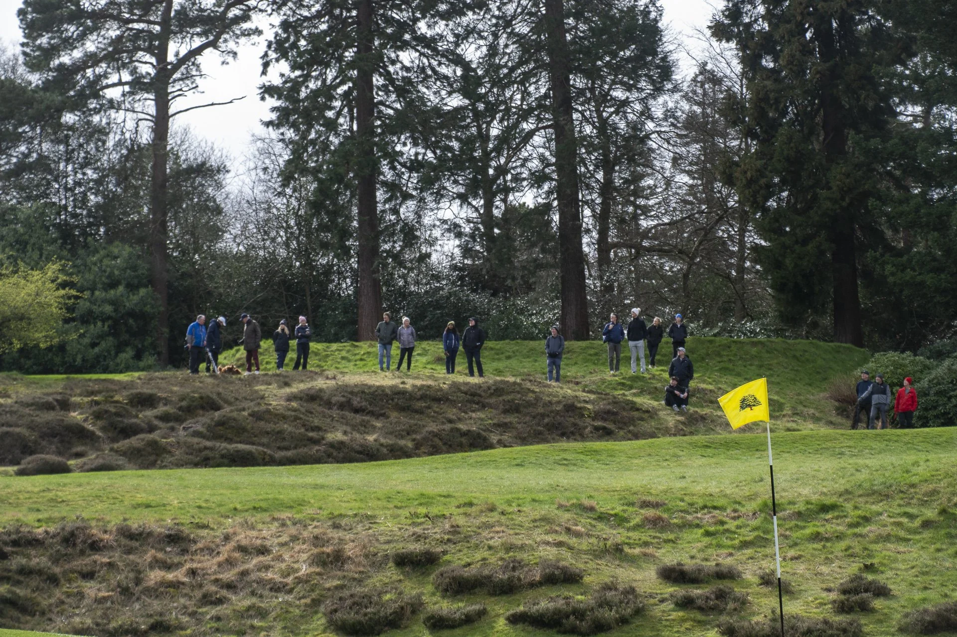 Sunningdale foursomes 2026 Final-1982.jpg