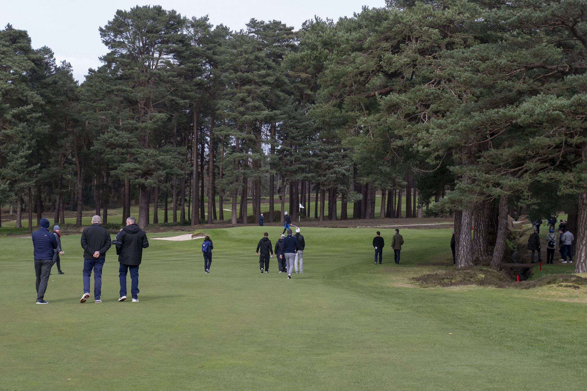 Sunningdale foursomes 2026 Final-2161.jpg