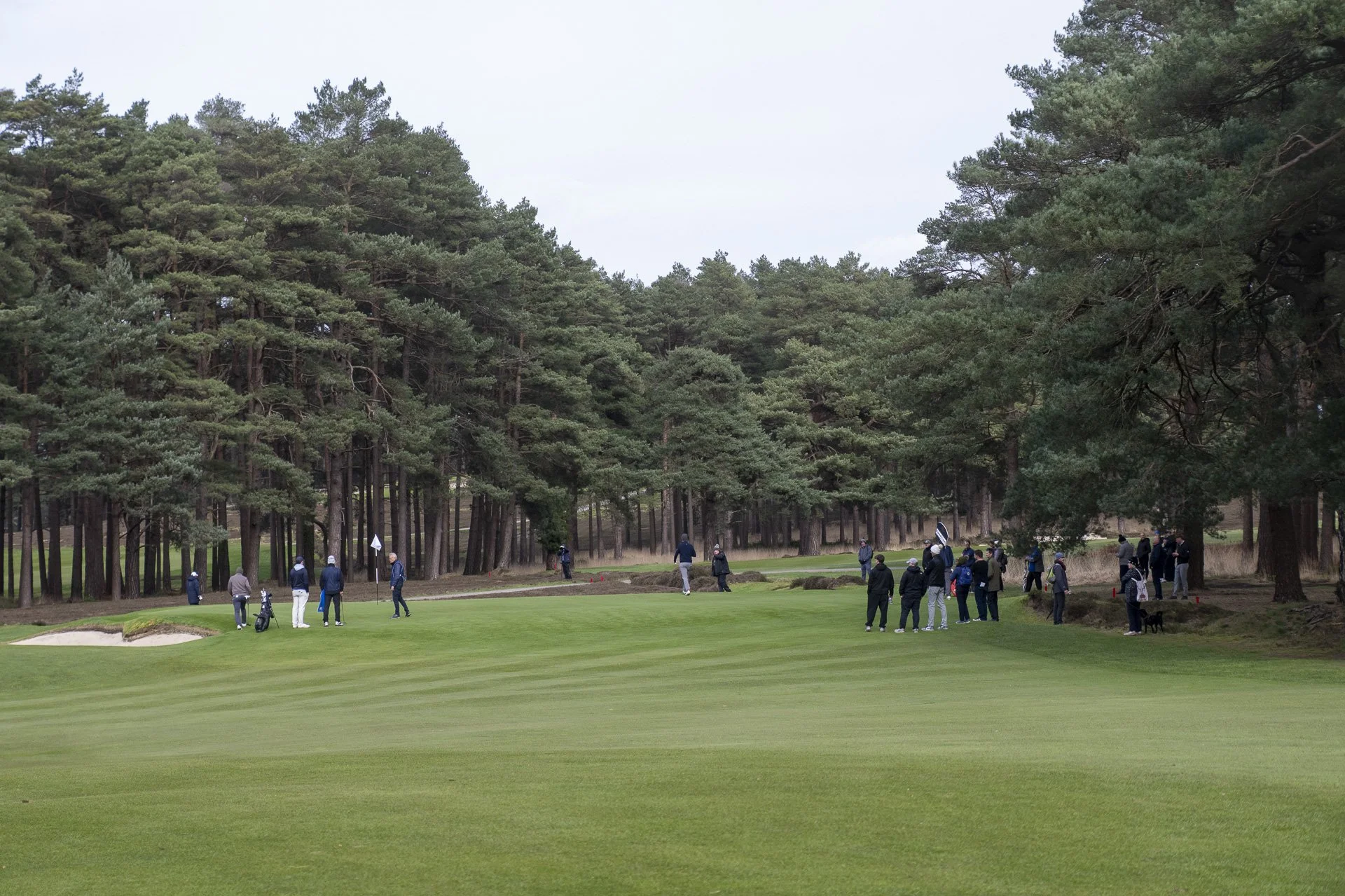 Sunningdale foursomes 2026 Final-2168.jpg