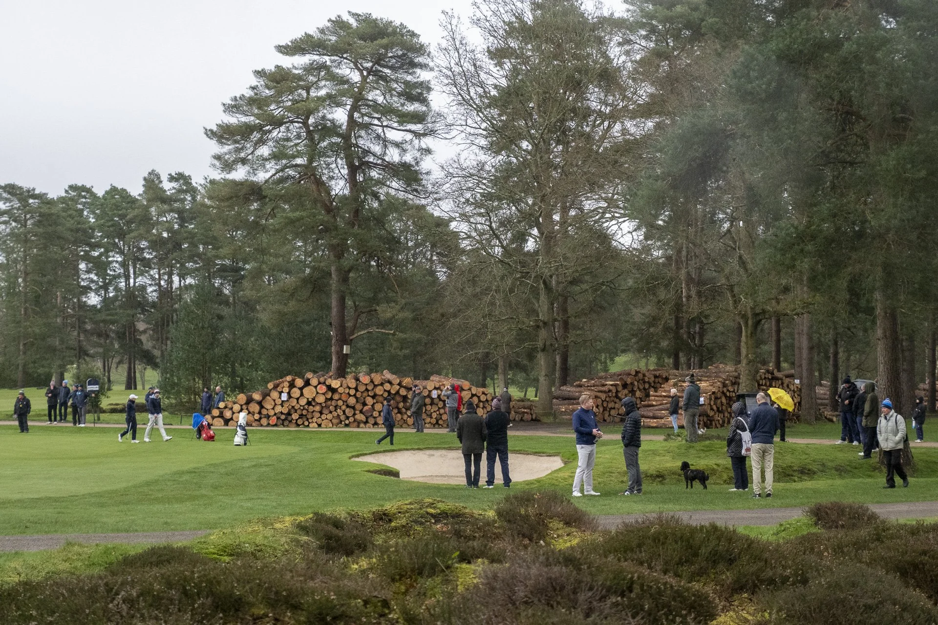 Sunningdale foursomes 2026 Final-2319.jpg