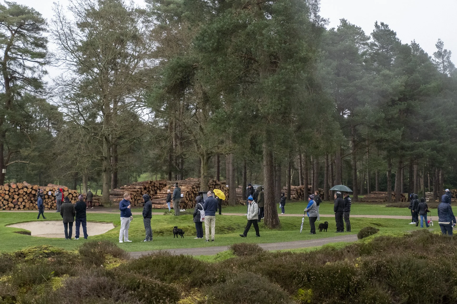Sunningdale foursomes 2026 Final-2320.jpg