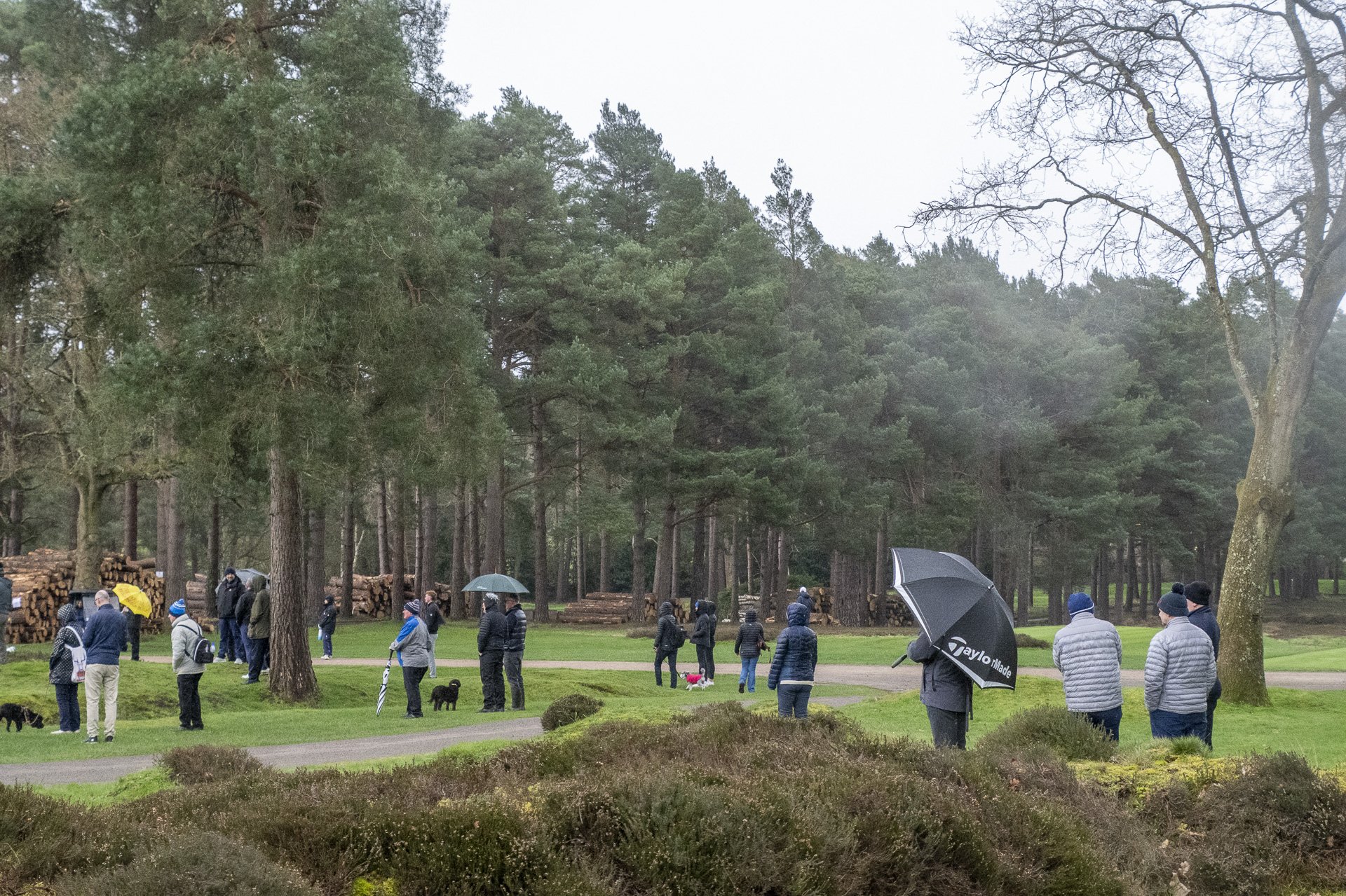 Sunningdale foursomes 2026 Final-2323.jpg