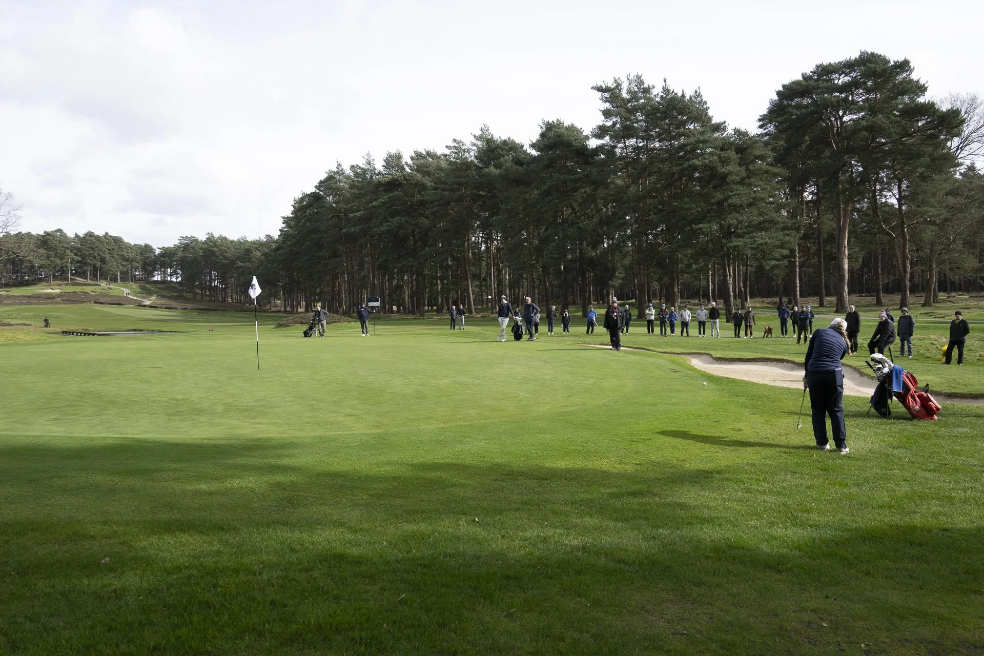 Sunningdale foursomes 2026 Final-4081.jpg