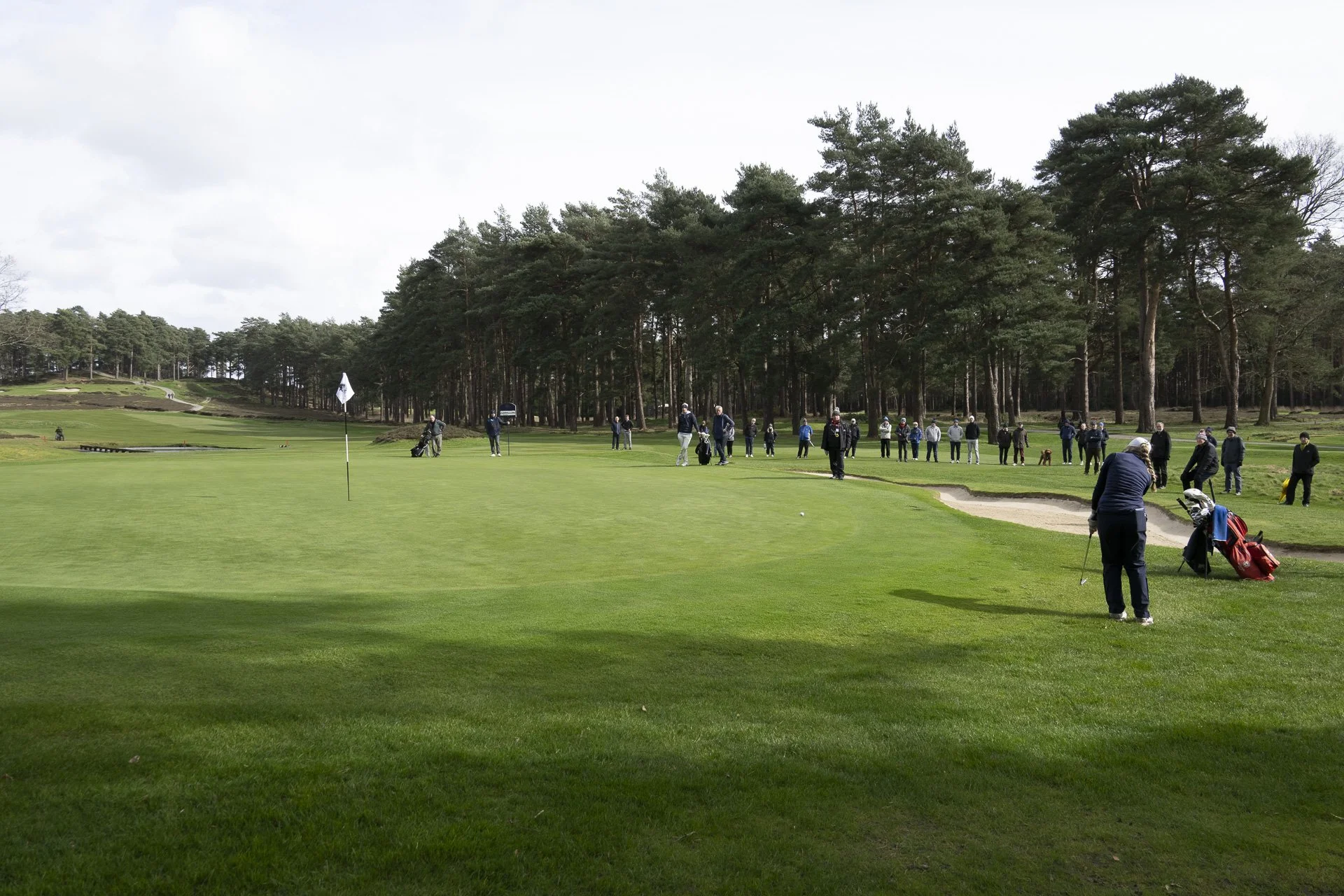 Sunningdale foursomes 2026 Final-4086.jpg