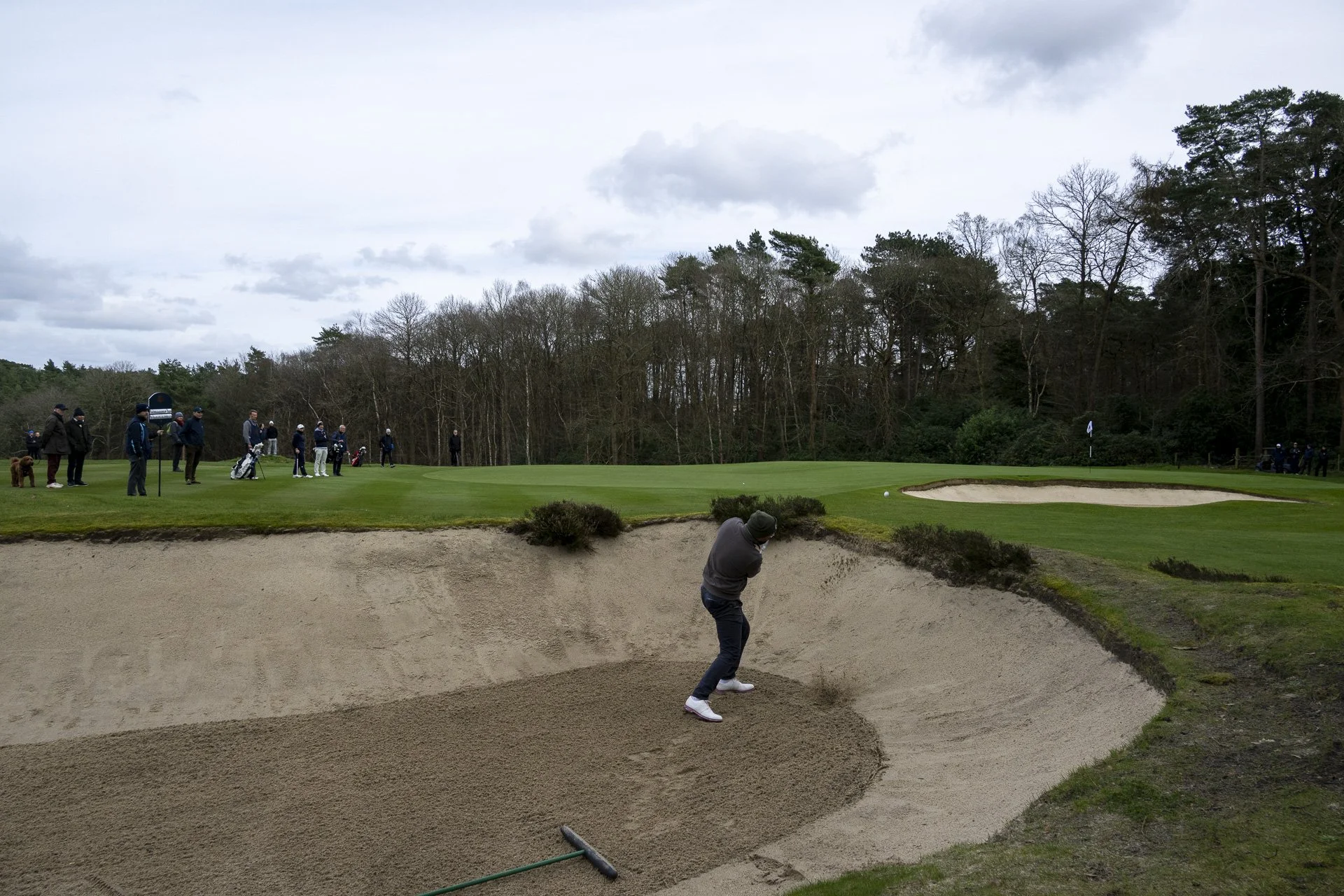 Sunningdale foursomes 2026 Final-4336.jpg