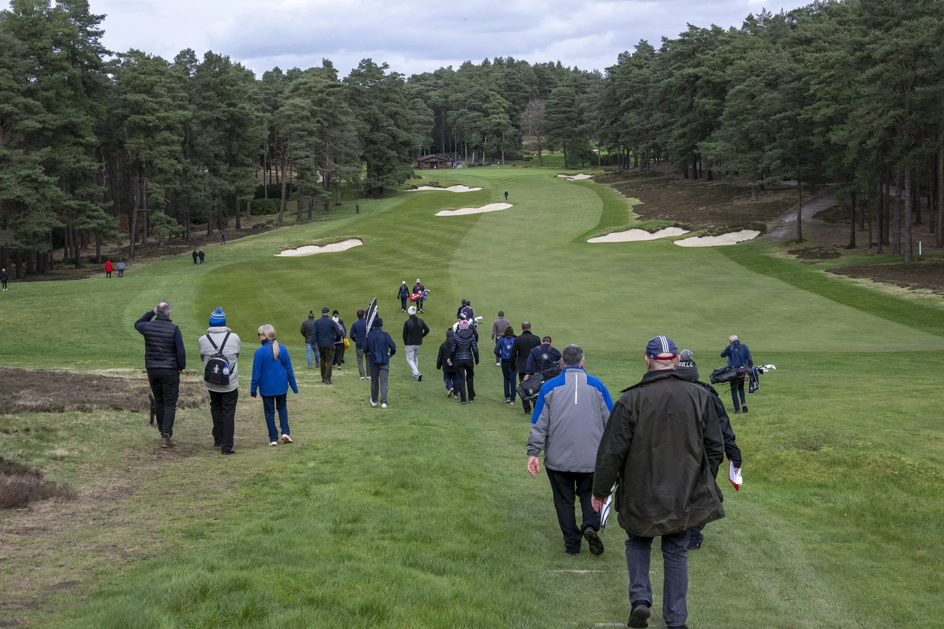 Sunningdale foursomes 2026 Final-4473.jpg