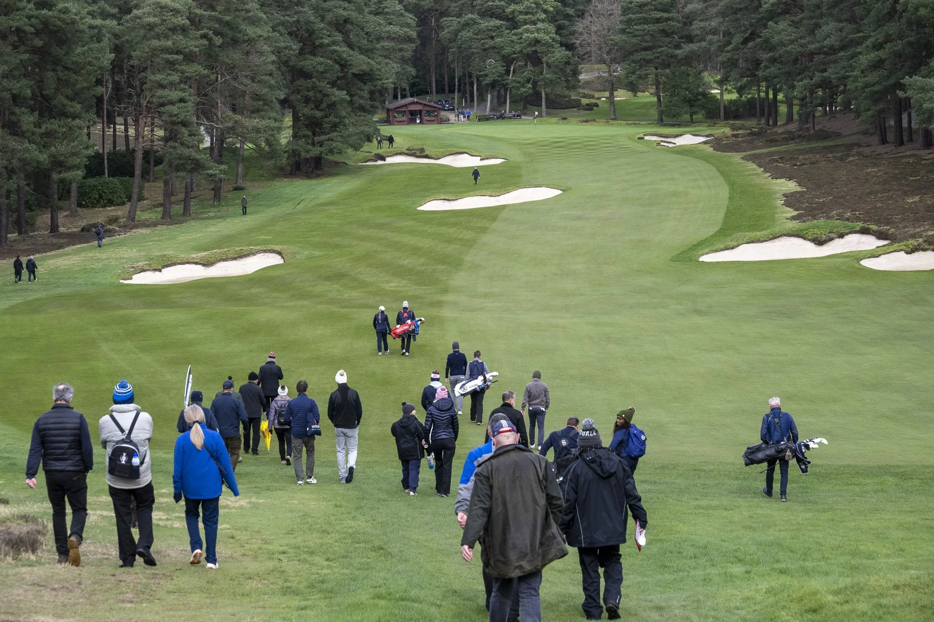 Sunningdale foursomes 2026 Final-4491.jpg