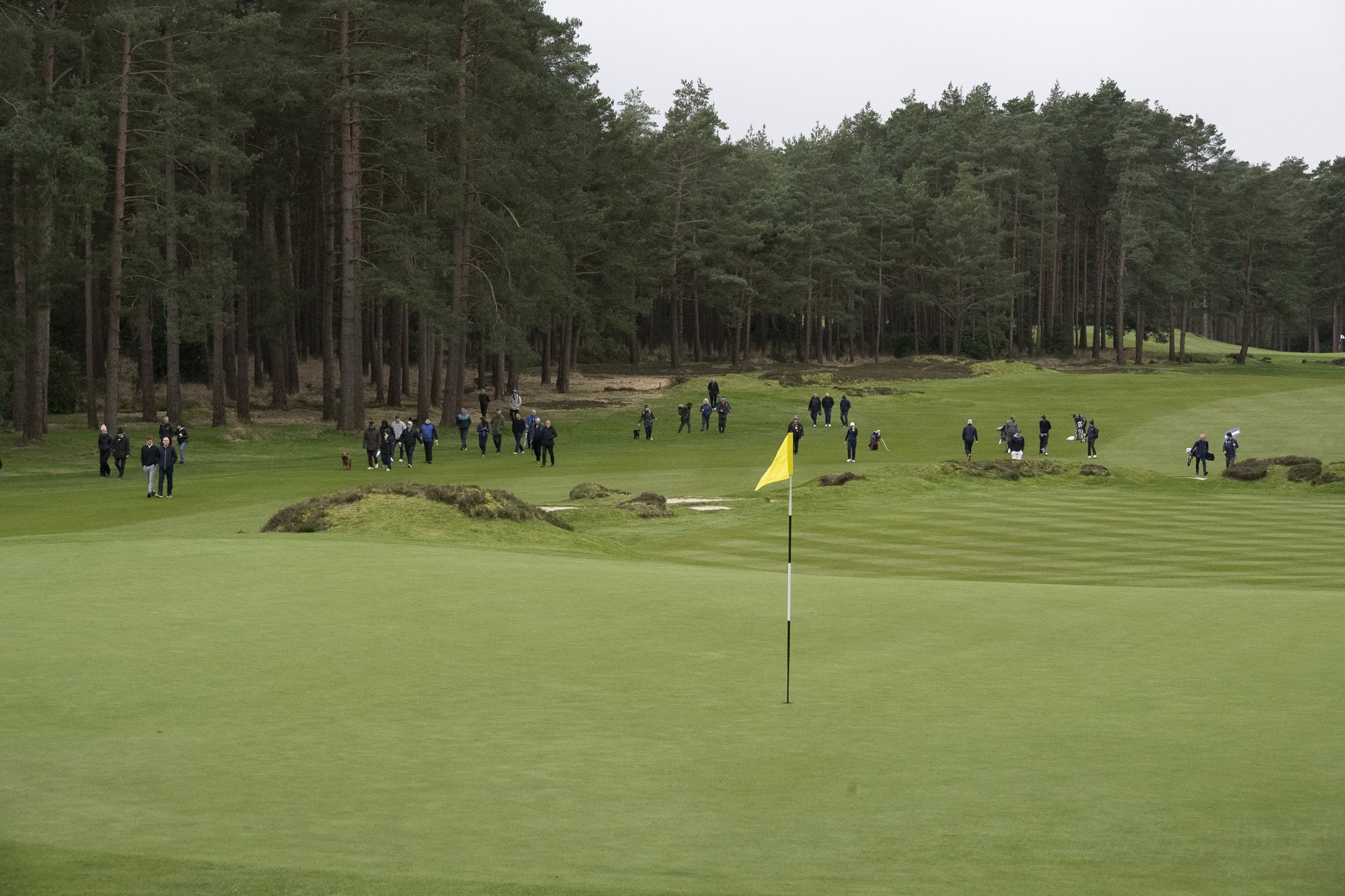 Sunningdale foursomes 2026 Final-4581.jpg