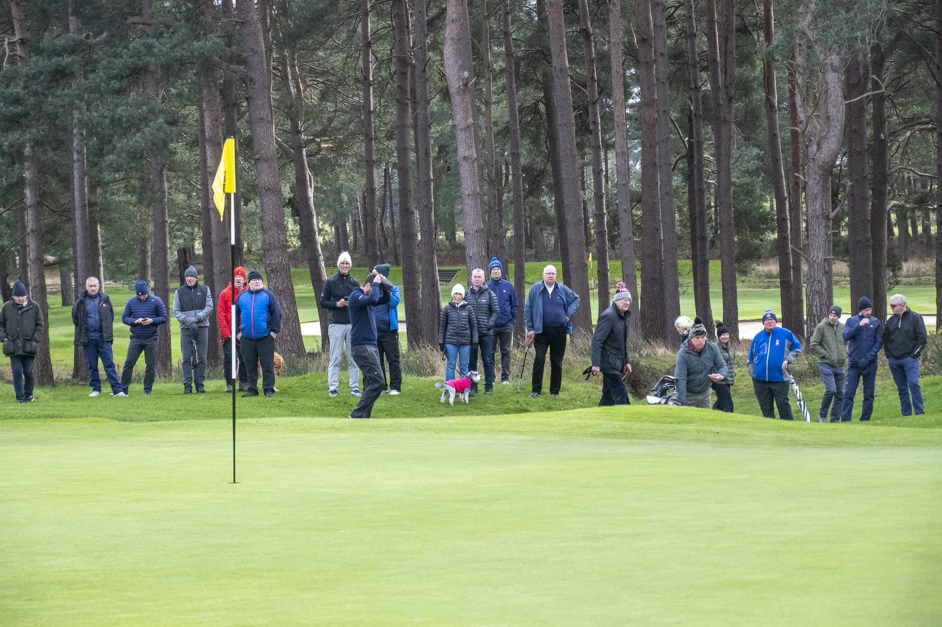 Sunningdale foursomes 2026 Final-2509.jpg