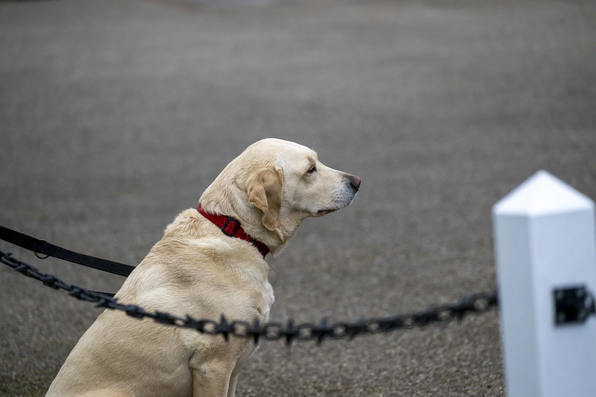 Sunningdale foursomes 2026 semi Final-1156.jpg