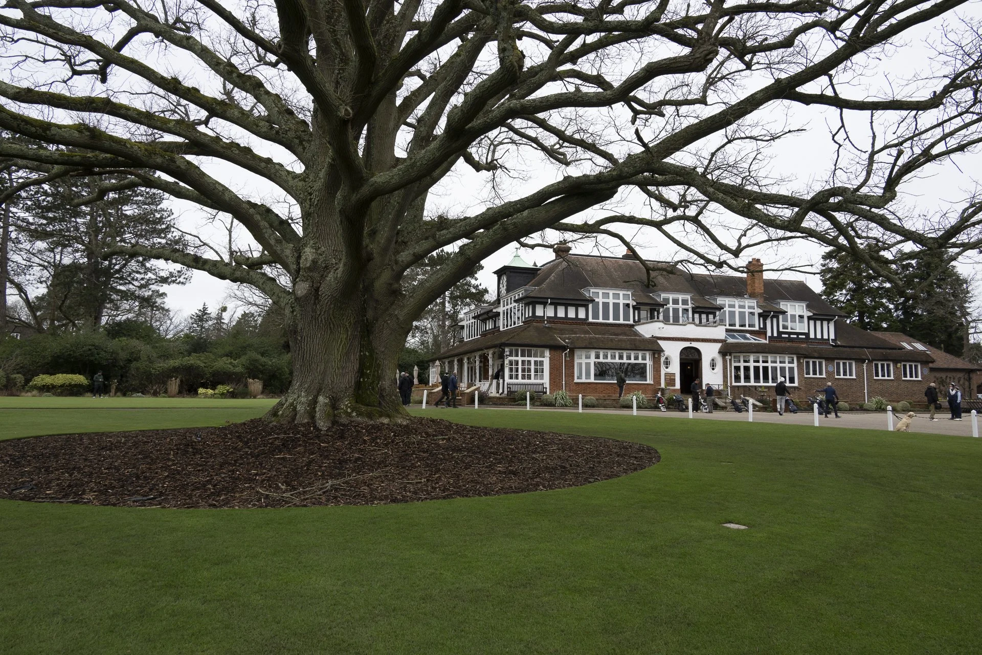 Sunningdale foursomes 2026 semi Final-3809.jpg