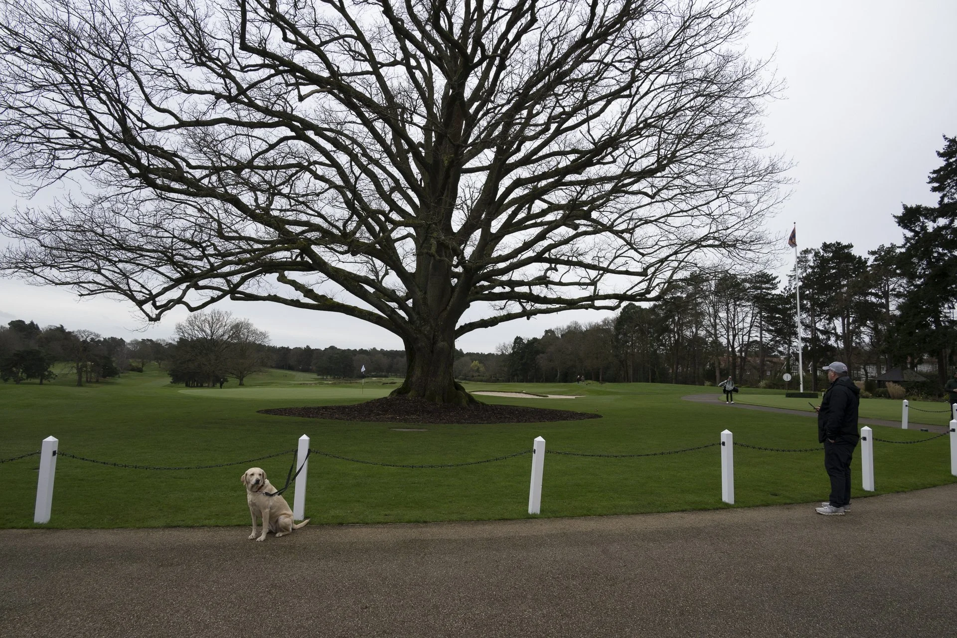 Sunningdale foursomes 2026 semi Final-3823.jpg