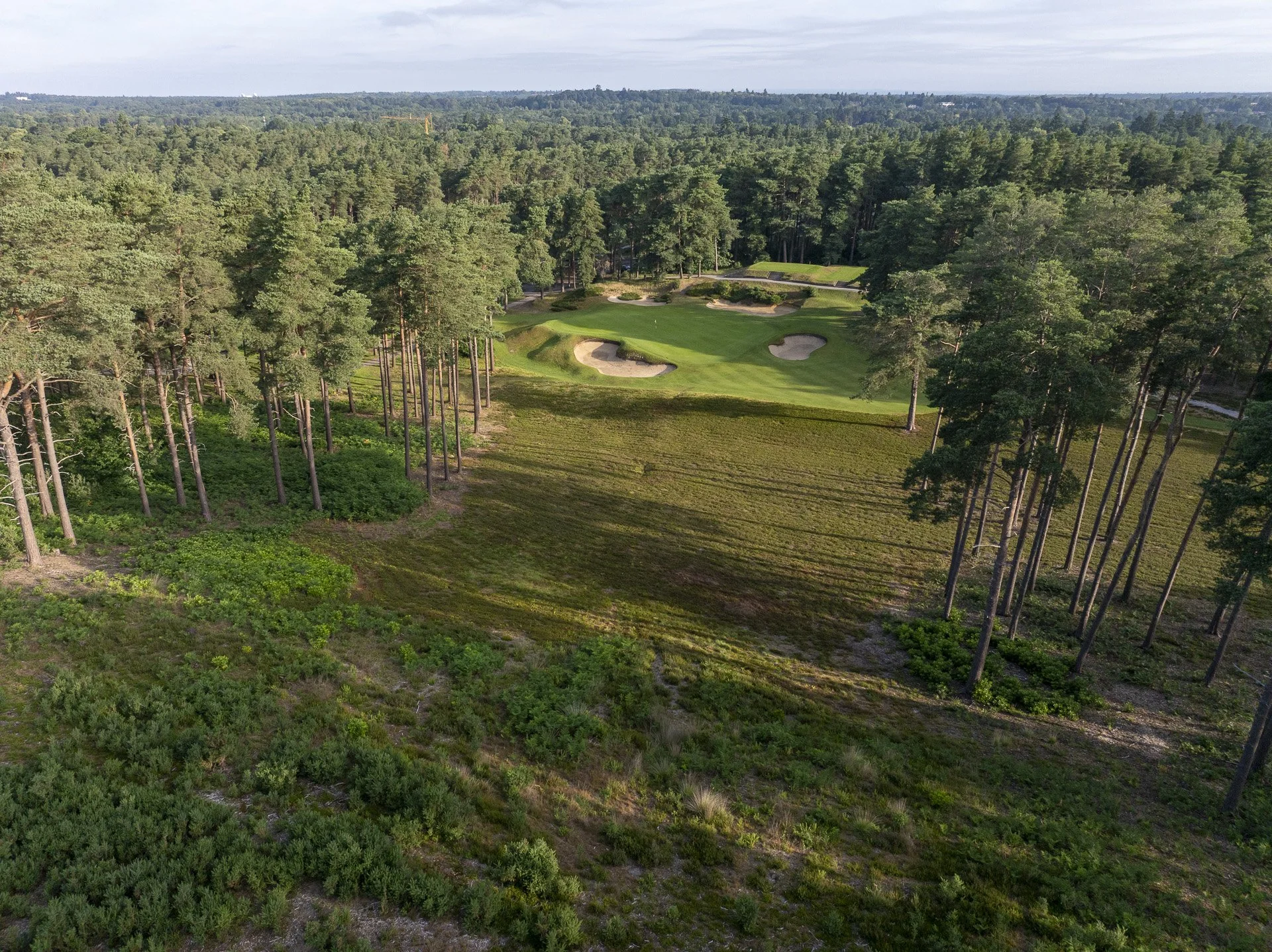 Sunningdale New Golf course--29.jpg