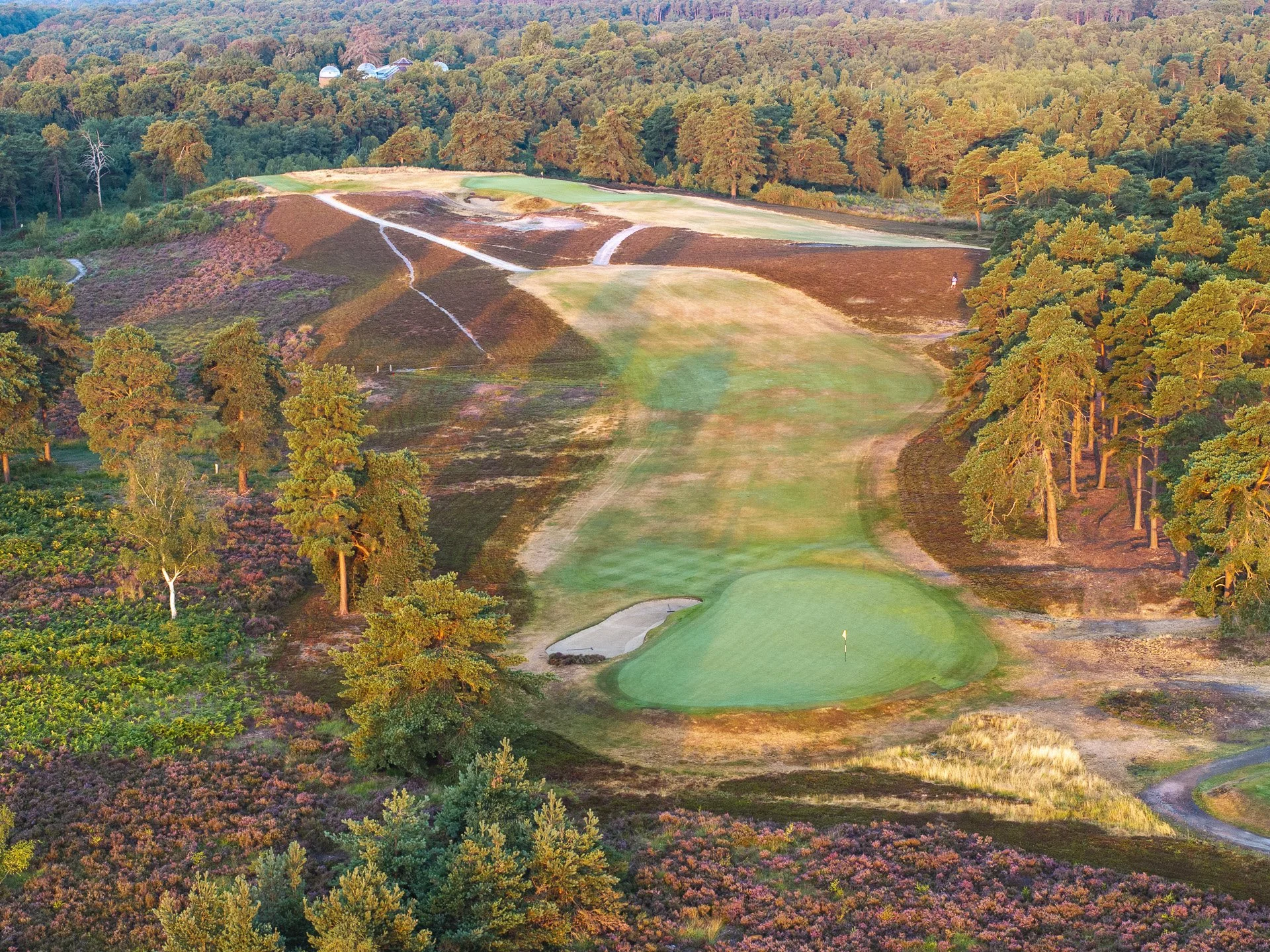 Sunningdale New Course--6.jpg