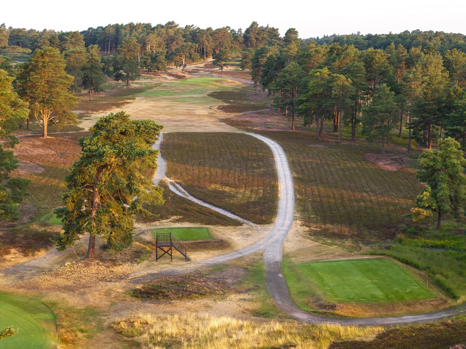 Sunningdale New Course--7.jpg