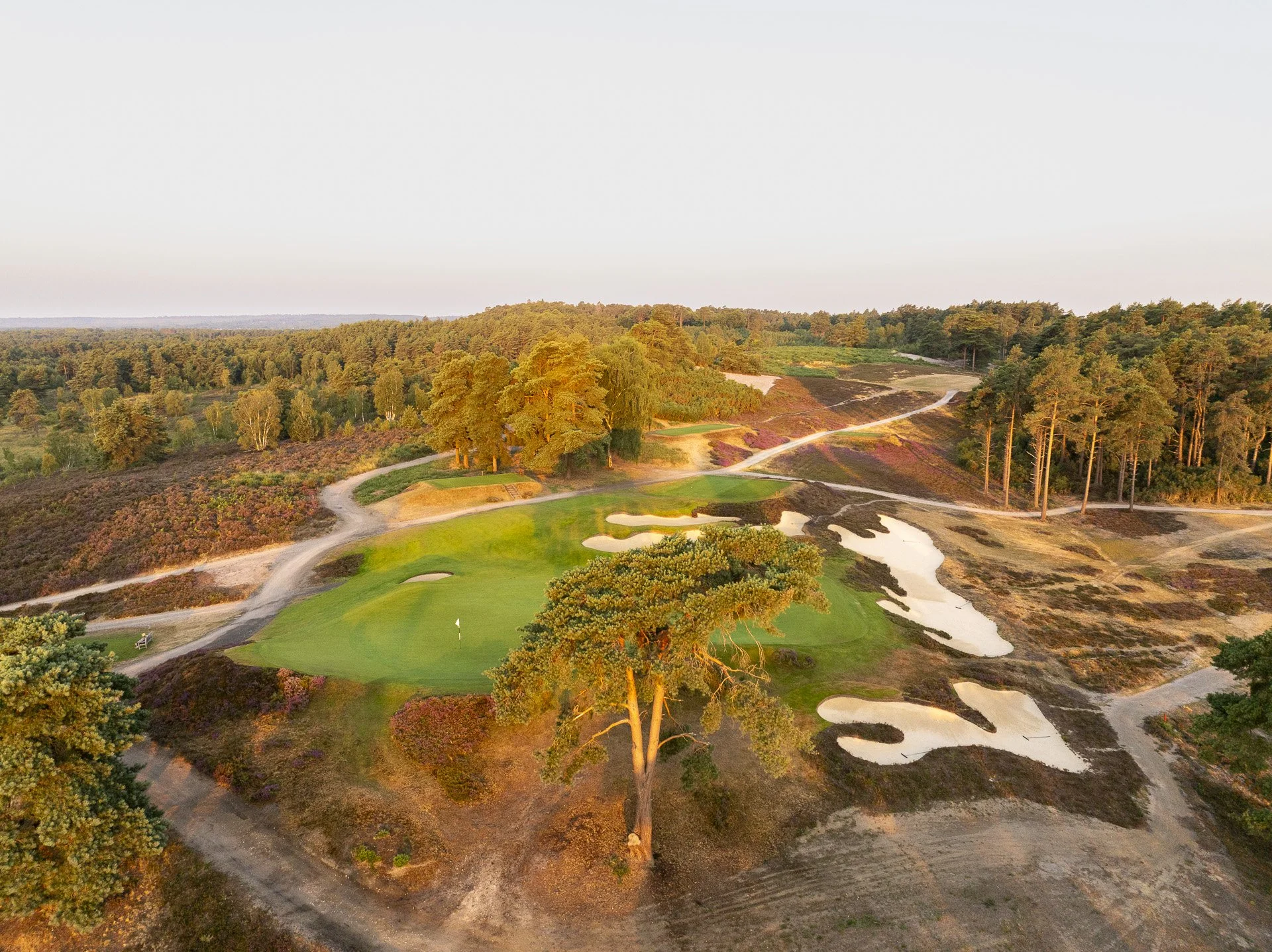 Sunningdale New Course--9.jpg