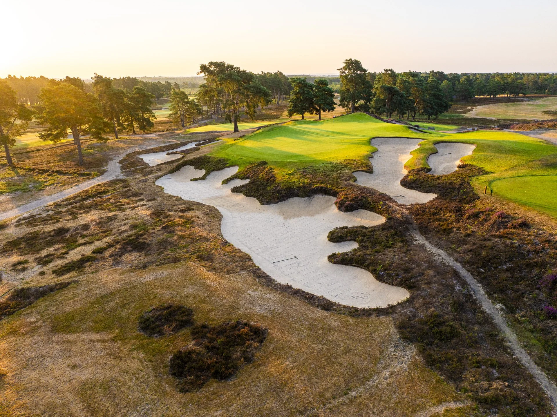 Sunningdale New Course--12.jpg