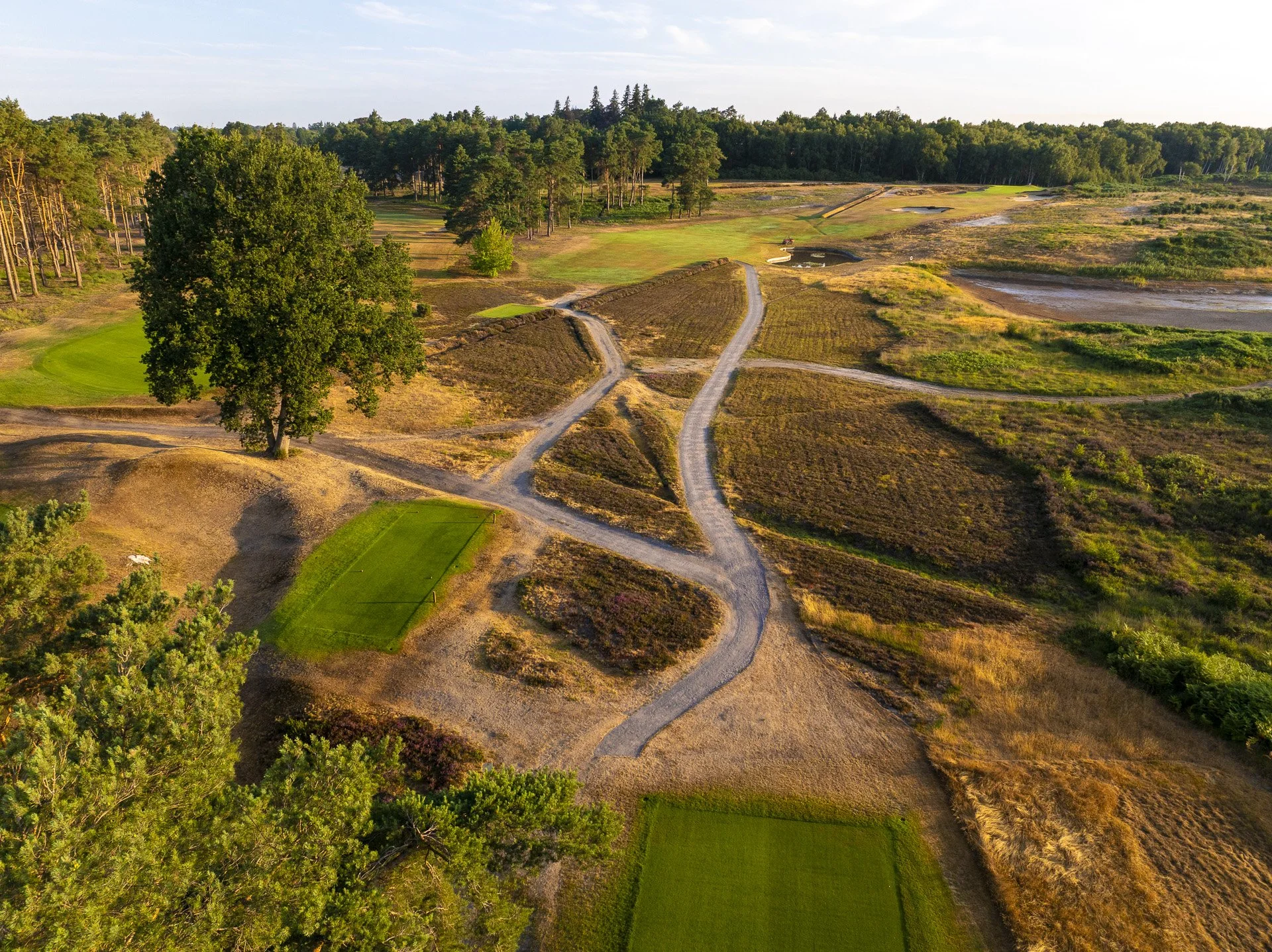 Sunningdale New Course--23.jpg